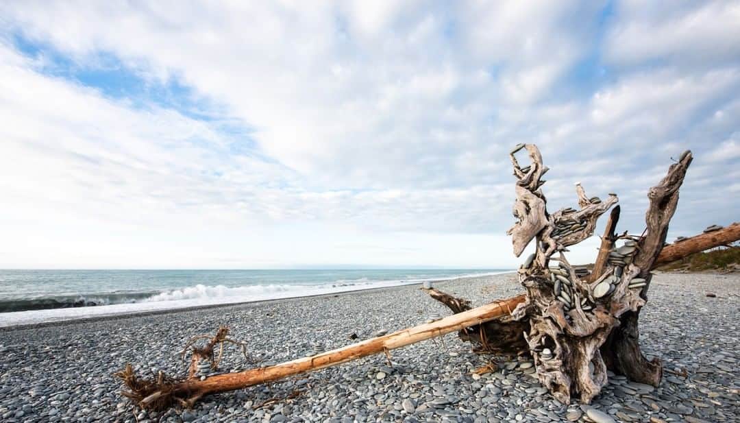 National Geographic Travelさんのインスタグラム写真 - (National Geographic TravelInstagram)「Photo by Ifeoma Ozoma @ifyozoma | This pile of driftwood and stones proved the perfect companion for a moment of reflection on the edge of the Tasman Sea. The often secluded beaches on the west coast of New Zealand’s South Island are magical in early December, just make sure you’re prepared for the sandflies. For more photos of public lands, follow @ifyozoma. #newzealand」4月26日 16時02分 - natgeotravel