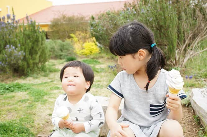 生活の木 メディカルハーブガーデン薬香草園【公式】のインスタグラム