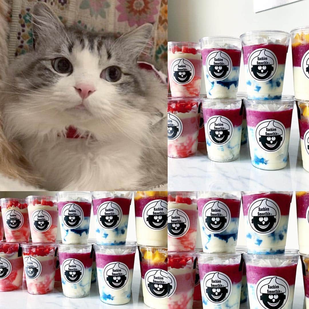 Rachien Smoothieのグルメインスタ
