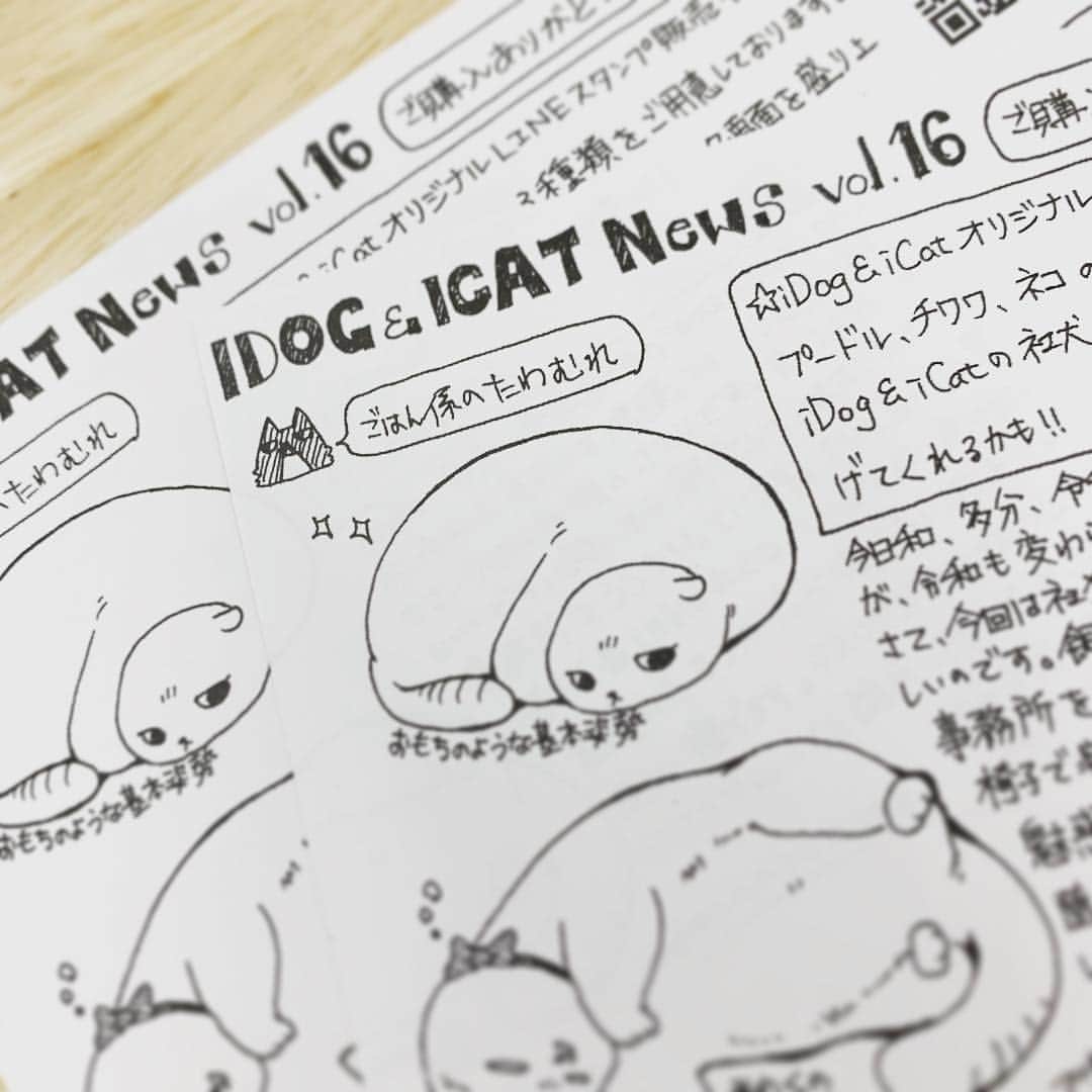 iDog&iCatのインスタグラム