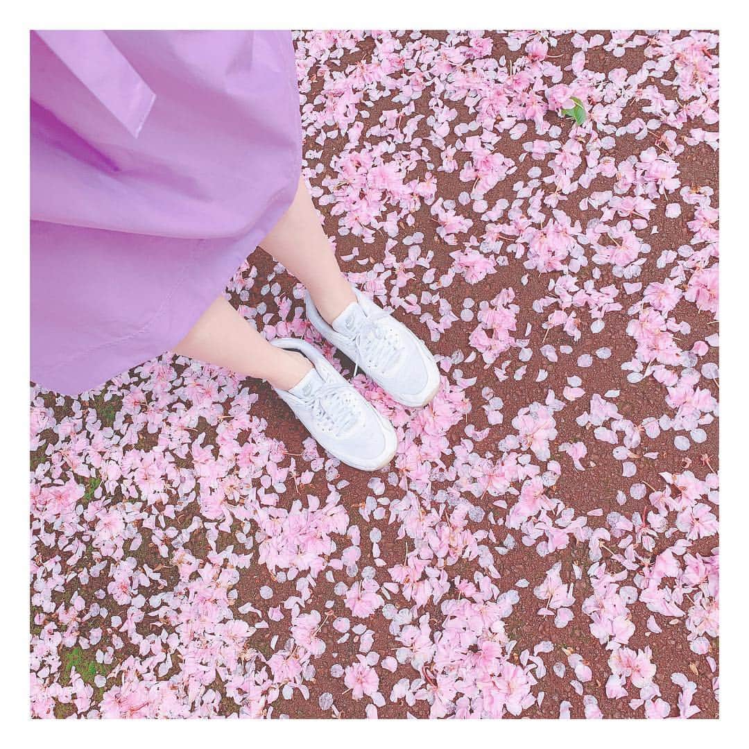 筒井萌子のインスタグラム：「* 桜の花びら絨毯🌸 私の1番好きな色◡̈⃝︎⋆︎*💕 #筒井萌子 #女優 #actress #モデル #model #岡山  #shooting #instagood #instalike #converse #撮影 #followme #instalike #ゴルフ #ゴルフ女子 #令和 #平成」
