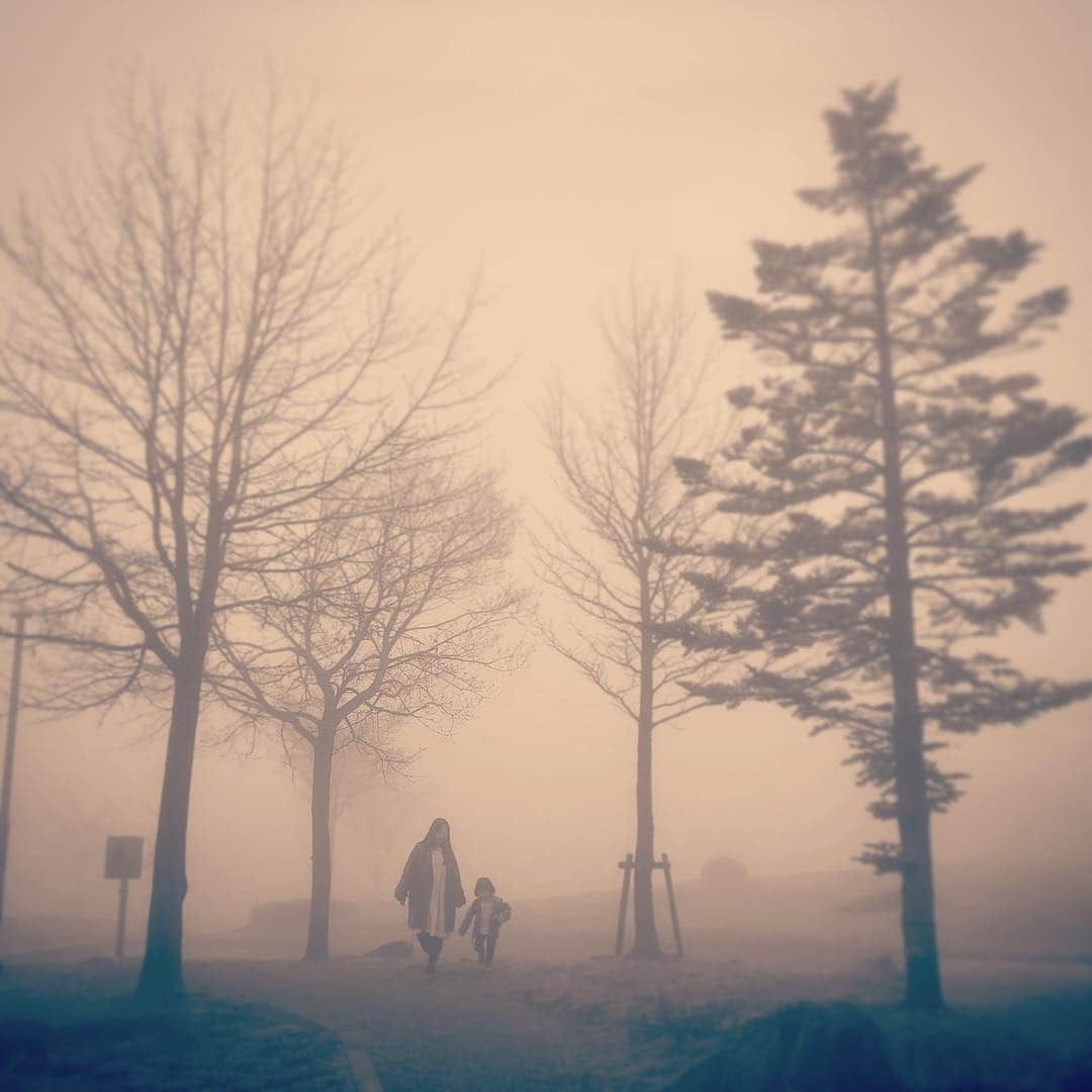 KOKIAのインスタグラム：「Walk through a foggy forest. #tokyo #japan #japon #kokia #photography #歌手 #コキア #insta #art #beautiful #picoftheday #follow #女性 #ソングライター #photooftheday #woman #jmusic #ボーカリスト #singer #songwriter #jpop #vocalist #voice #声 #ライブ #live #綺麗 #日本 #森#forest」