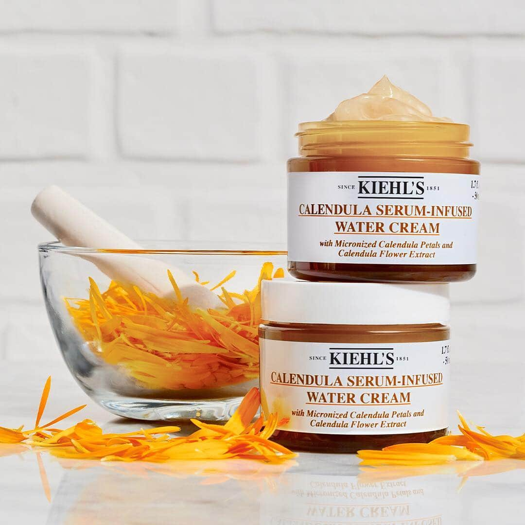 キールズ Kiehl's Japanさんのインスタグラム写真 - (キールズ Kiehl's JapanInstagram)「#キールズカレンデュラクリーム が、本日4/26(金)に全ストアにて新発売🎉明日からのGW、どうしても浴びてしまう紫外線による肌ダメージを2種のカレンデュラの恵みで穏やかに整え、潤いを保ち、みずみずしく #すみわたる肌 へ✨各種キャンぺーンも開催中です。  詳細はプロフィールのリンクから💁  @kiehlsjp #キールズ #キールズカレンデュラクリーム #すみわたる肌 #アポセカリー #スキンケア #ニューヨーク発 #ニューヨーク#Kiehls#Skincare #NewYork」4月26日 18時28分 - kiehlsjp