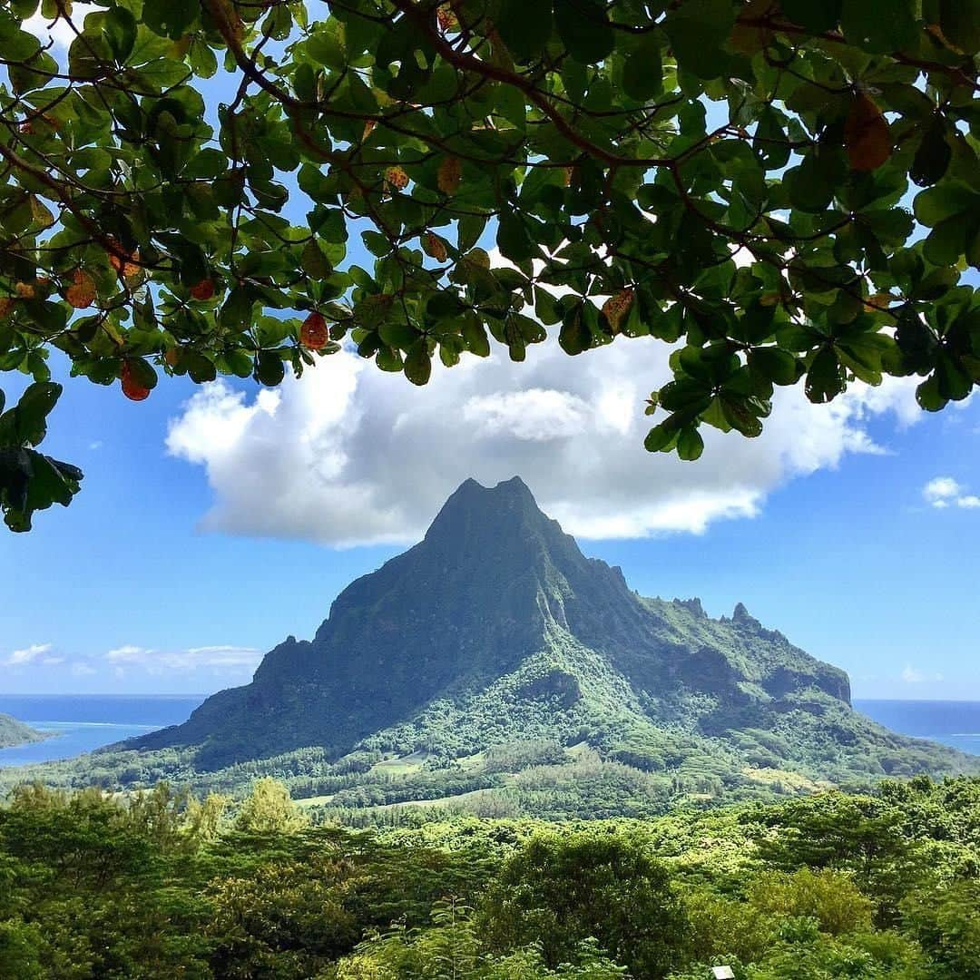 Lonely Planetさんのインスタグラム写真 - (Lonely PlanetInstagram)「This week's #lonelyplanet regram comes from @florian.feral who took this epic shot in Mo'orea, French Polynesia. ⛰️ Hovering less than 20km across the 'Sea of the Moon' from its big sister, Tahiti, Mo'orea absorbs its many visitors so gracefully that its feels surprisingly nontouristy. — Every week we regram a shot from our community. Tag yours with #lonelyplanet for a potential feature!」4月26日 18時30分 - lonelyplanet