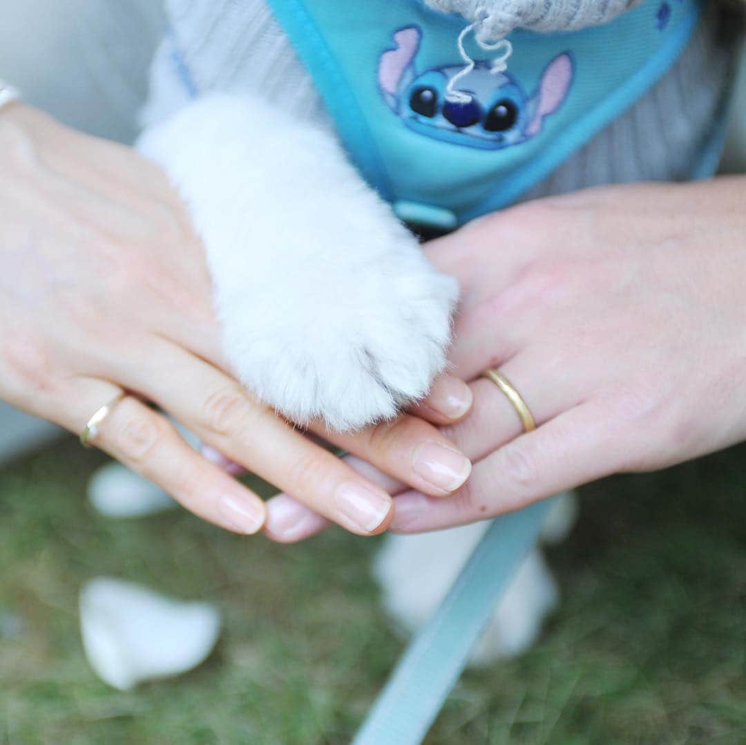 メゾン・ド・タカ芦屋のグルメインスタ