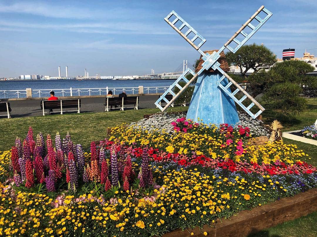 井深克彦のグルメインスタ