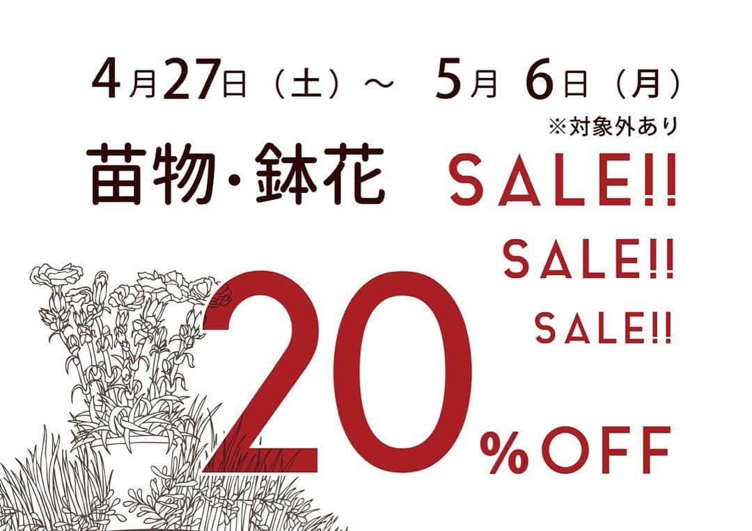 MILLE ECLAT.のグルメインスタ