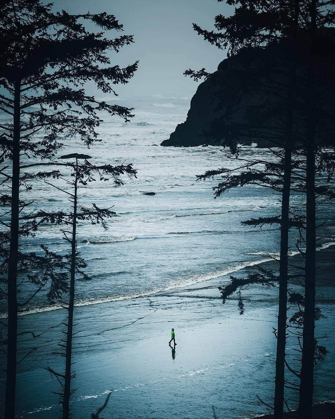 のインスタグラム：「@chrs.g.smth “Nobody ever figures out what life is all about, and it doesn't matter. Explore the world. Nearly everything is really interesting if you go into it deeply enough.” -Richard P. Feynman」