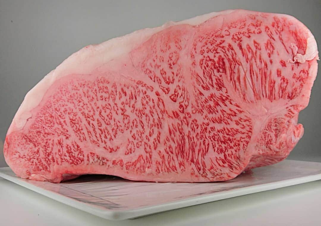 炭火焼肉BISTRO山城牛のグルメインスタ