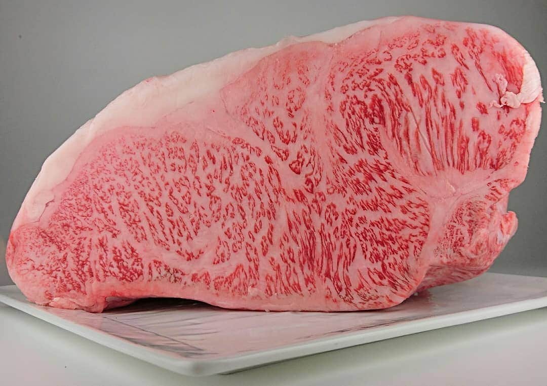 炭火焼肉BISTRO山城牛のグルメインスタ