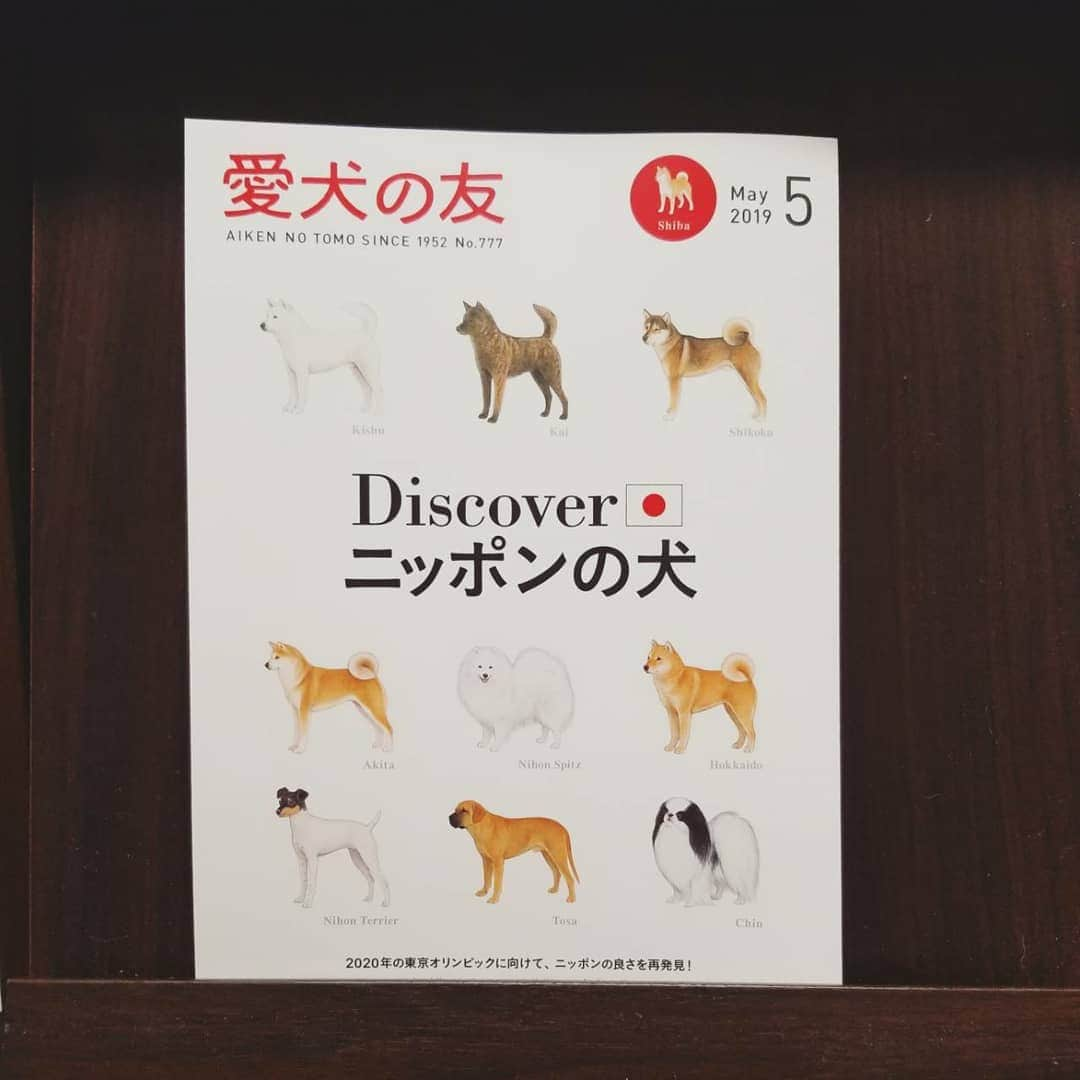 ハナとソラさんのインスタグラム写真 - (ハナとソラInstagram)「* 4月25日発売の 愛犬の友5月号は、日本犬特集 『Discoverニッポンの犬』 表紙がとっても素敵で、イラストもさることながら、個人的には触り心地が100点です。笑  実は、東西古都柴犬祭りでご一緒した作家さんたちとともに、西の柴犬作家としてご紹介いただきました。  読者プレゼントもありますのでお楽しみに。  そして、よくよく探していただくと、ここ柴も紙面に登場しています。  注:ベージュのワンピースの○○○ 探してみてください😁 * #愛犬の友 #ここ柴部 #読者プレゼント #日本犬 #日本犬特集 #東西古都柴犬祭り #パンツインちゃんマスキングテープ #ここ柴バンダナ」4月26日 19時28分 - nsdikm_hanasora