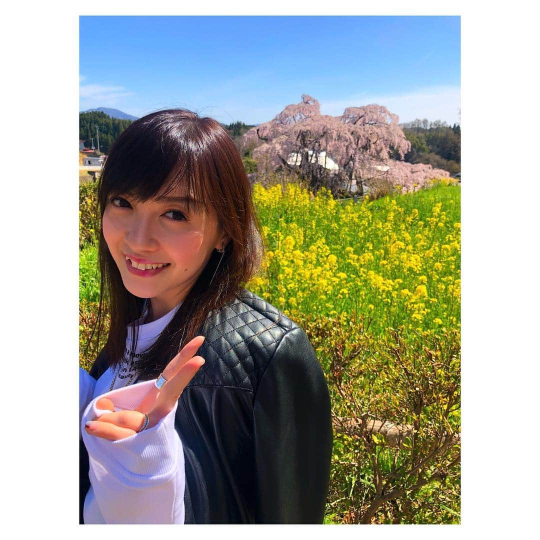 高橋万里恵さんのインスタグラム写真 - (高橋万里恵Instagram)「* 明日からGW🌈 先週訪れた福島の三春の滝桜は本当に圧巻の美しさでした🌸🌸 . 東北はまだ桜が綺麗な所もありますね😊😊 菜の花と桜はテッパンだなー😆😆 GW後半は東北へ行きます😊😊 . #東北 #福島 #三春の滝桜 #屋台もいっぱい #花より団子 #桜見ながらのお酒は最高 #special東北」4月26日 19時32分 - marie__takahashi