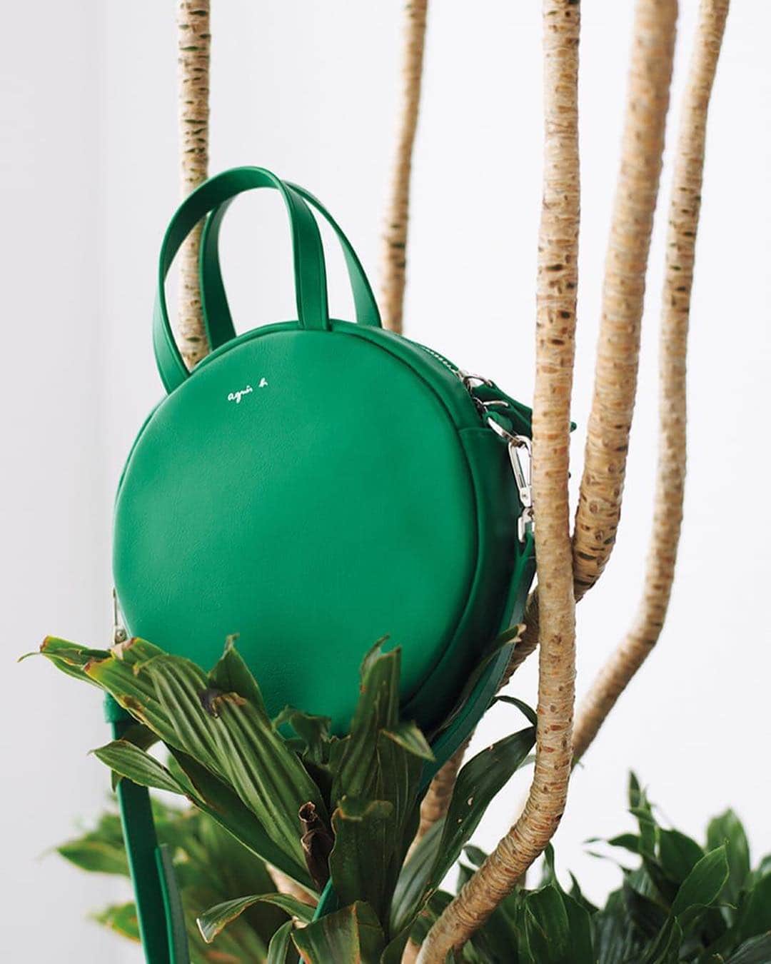 ginza magazineさんのインスタグラム写真 - (ginza magazineInstagram)「優しさあふれるポシェットに心癒やされる🌿⠀ 新緑を思わせる色鮮やかなグリーン×グラフィカルな丸い形がオブジェっぽい愛らしさ。⠀⠀ ⠀ #agnesb #bag #green #バッグ #アニエスベー」4月26日 19時38分 - ginzamagazine