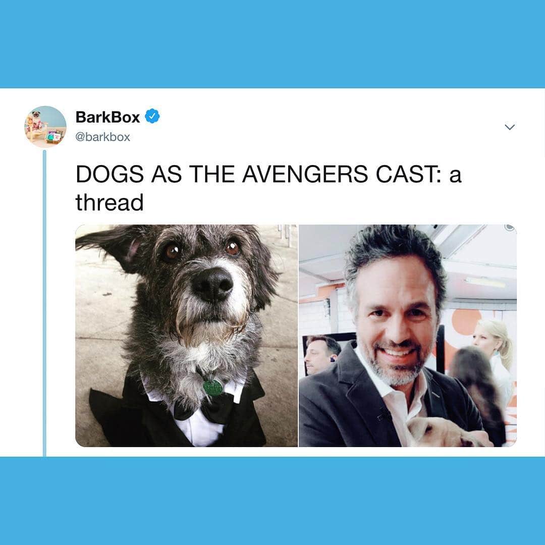 BarkBoxさんのインスタグラム写真 - (BarkBoxInstagram)「the biggest #AvengersEndgame spoiler is that they were dogs all along」4月27日 5時32分 - barkbox