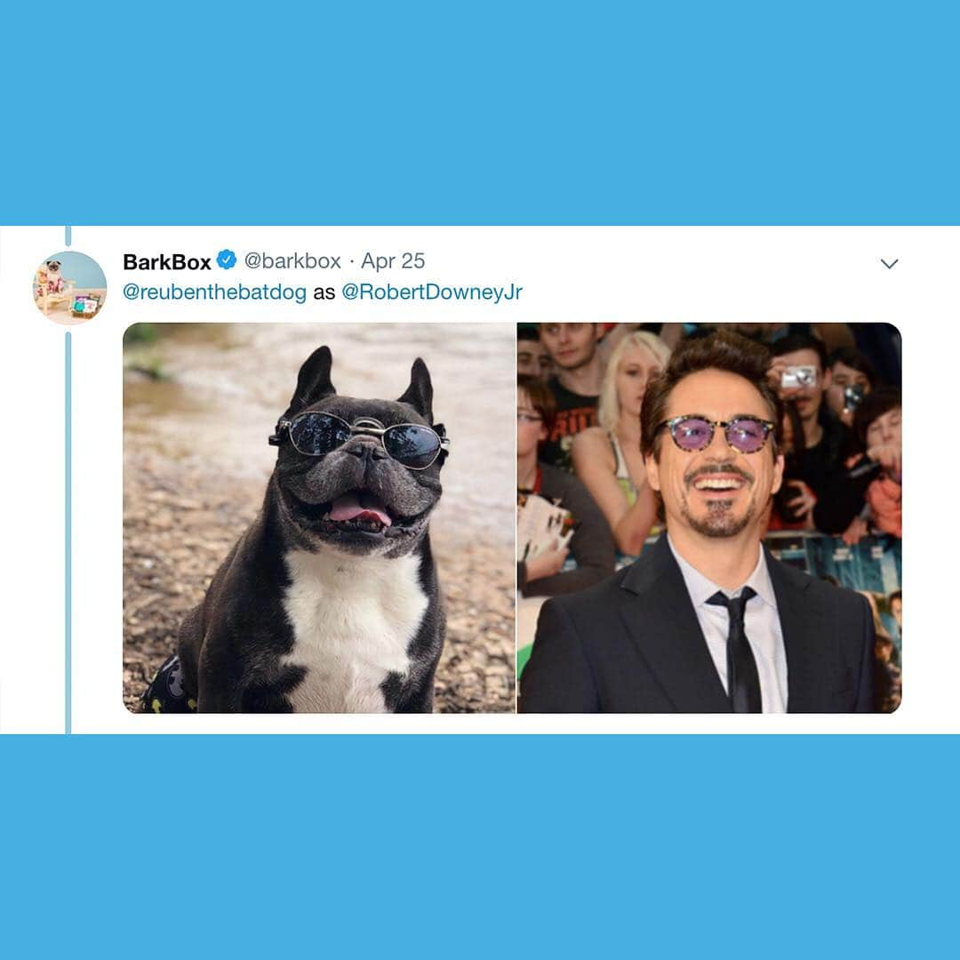 BarkBoxさんのインスタグラム写真 - (BarkBoxInstagram)「the biggest #AvengersEndgame spoiler is that they were dogs all along」4月27日 5時32分 - barkbox