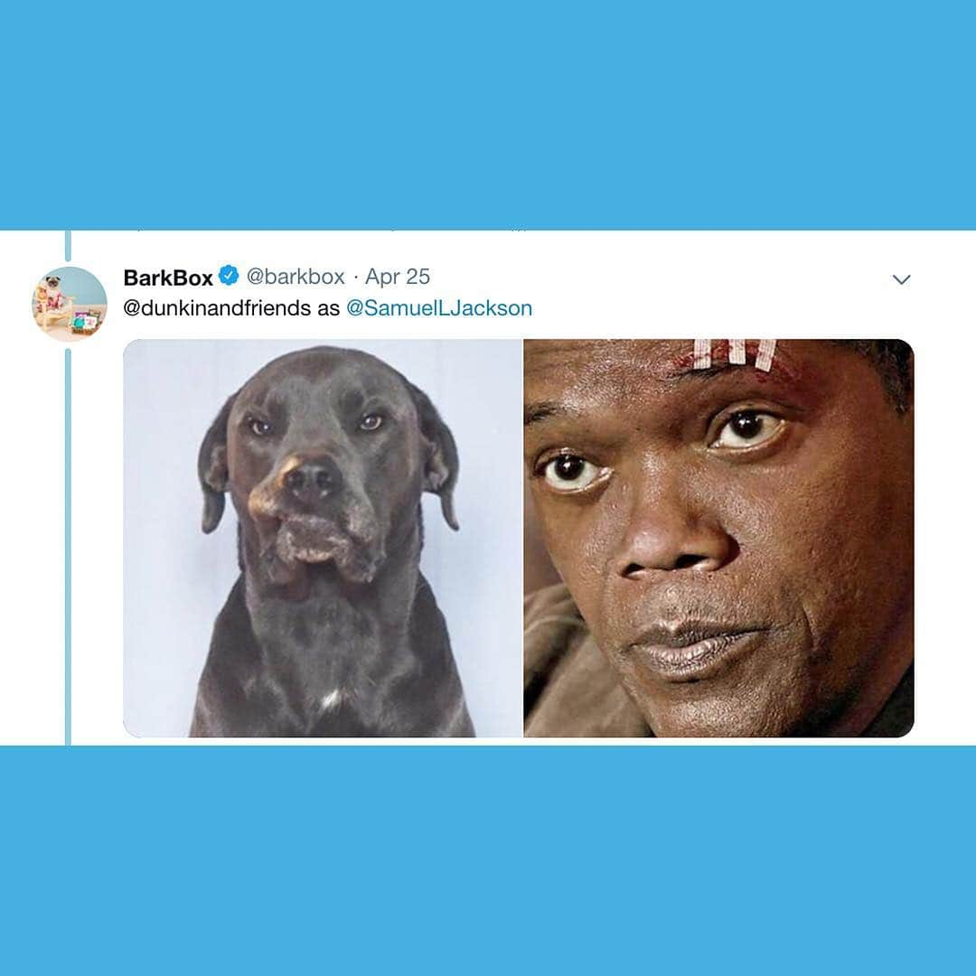 BarkBoxさんのインスタグラム写真 - (BarkBoxInstagram)「the biggest #AvengersEndgame spoiler is that they were dogs all along」4月27日 5時32分 - barkbox