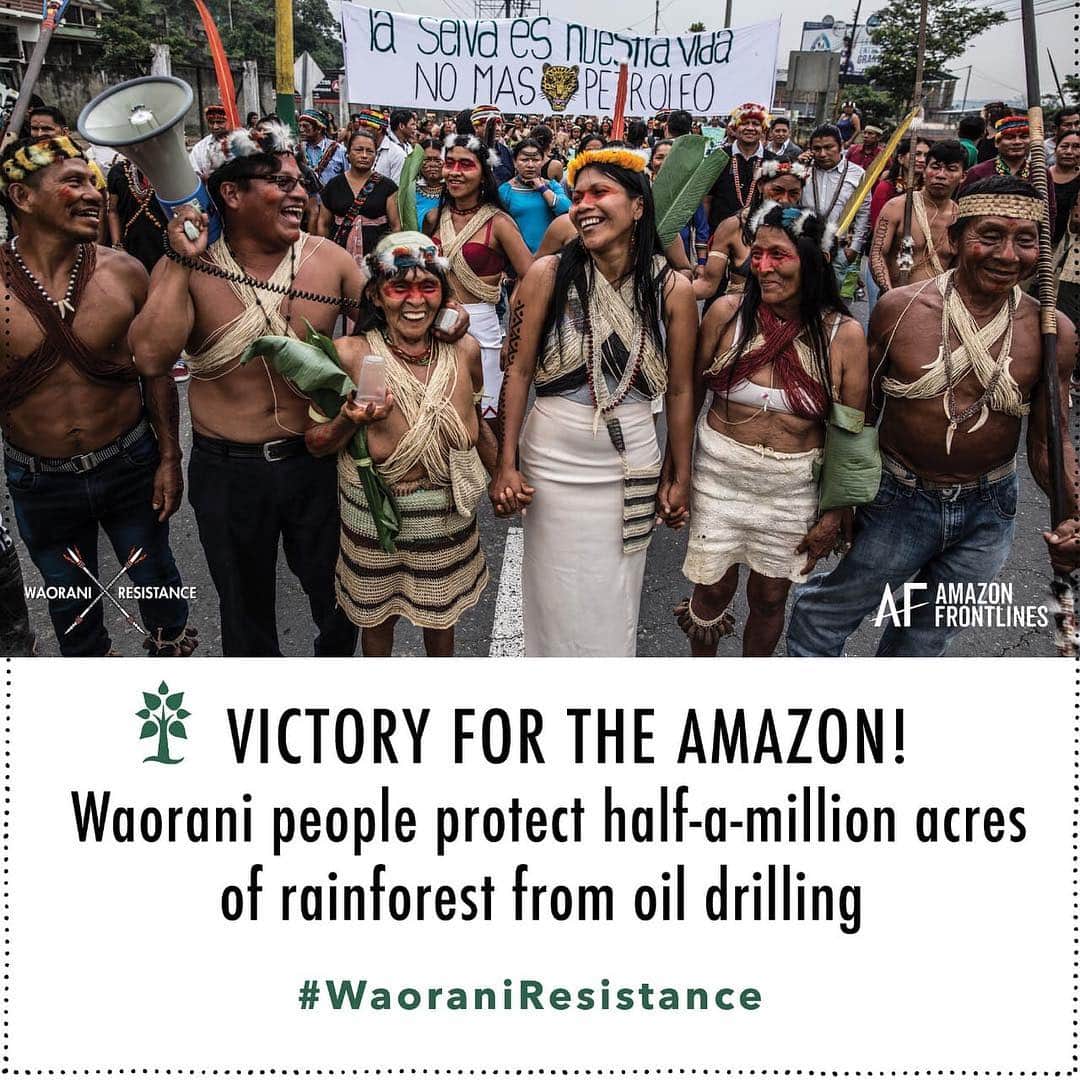 レオナルド・ディカプリオさんのインスタグラム写真 - (レオナルド・ディカプリオInstagram)「The Waorani people have won a legal victory to protect 1/2 million acres of rainforest from oil drilling and set a historic precedent for indigenous rights. Let's ramp up the pressure to permanently protect this land. Link in bio to send a message to the Ecuadorian government. @amazonfrontlines #waoraniresistance」4月27日 6時14分 - leonardodicaprio