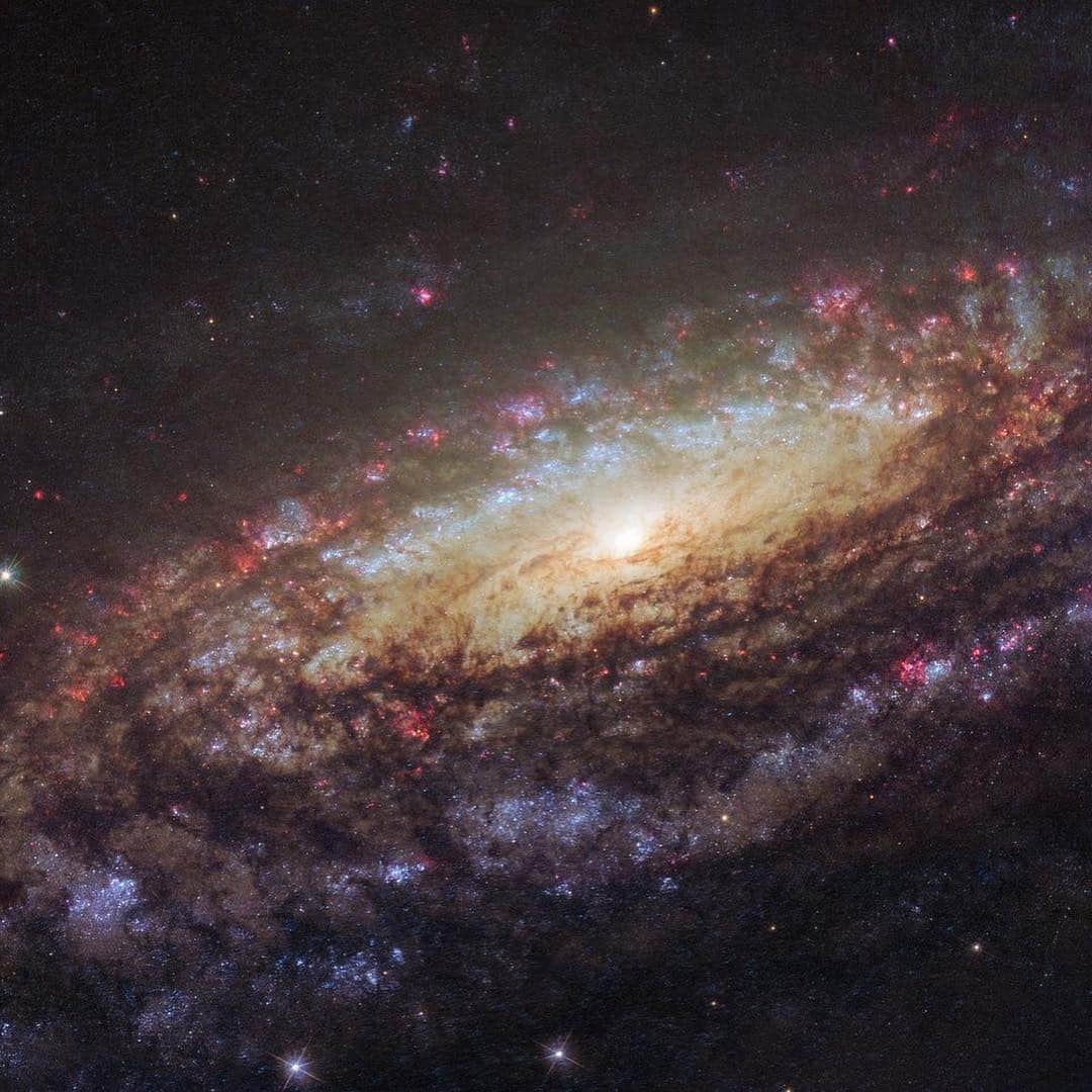 NASAさんのインスタグラム写真 - (NASAInstagram)「When you wish upon a star… Hubble captures it from afar ✨This week our @NASAHubble Space Telescope celebrated 29 years of dazzling discoveries, serving as a window to the wonders of worlds light-years away. ⁣ ⁣ Hubble continues to observe the universe in near-ultraviolet, visible, and near-infrared light. Over the past 29 years, it has captured the farthest views ever taken of the evolving universe, found planet-forming disks around nearby stars and identified the 1st supermassive black hole in the heart of a neighboring galaxy. ⁣ ⁣ Enjoy some of Hubble’s highlights  over the years! Learn what each image is in the comments. ⁣ ⁣ Image Credit: NASA/ESA/STScl⁣ ⁣ #HubbleSpaceTelescope #Nebula #Universe #Blackhole #Crab #NASA #Astronomy #Stars⁣」4月27日 6時18分 - nasa