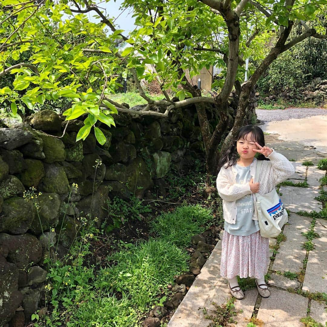 クォン・ユリさんのインスタグラム写真 - (クォン・ユリInstagram)「여러분이 제주도 맛집 추천 해준 곳 제가 다 다녀왔습니다아앙(∗❛⌄❛∗)💛 예쁜 사진 언능 풀게요.....내일ㅎ..! 저희는 제주도를 반 나눠서 동쪽만 다녔었는데 참 감사한 분들이 많았던 이번 여행이었어요  덕분에 행복하게 다녀왔답니다🐰💛💛💛 다음은 서쪽이다...! #권율이 #율이tv」4月26日 21時40分 - 1004yul_i