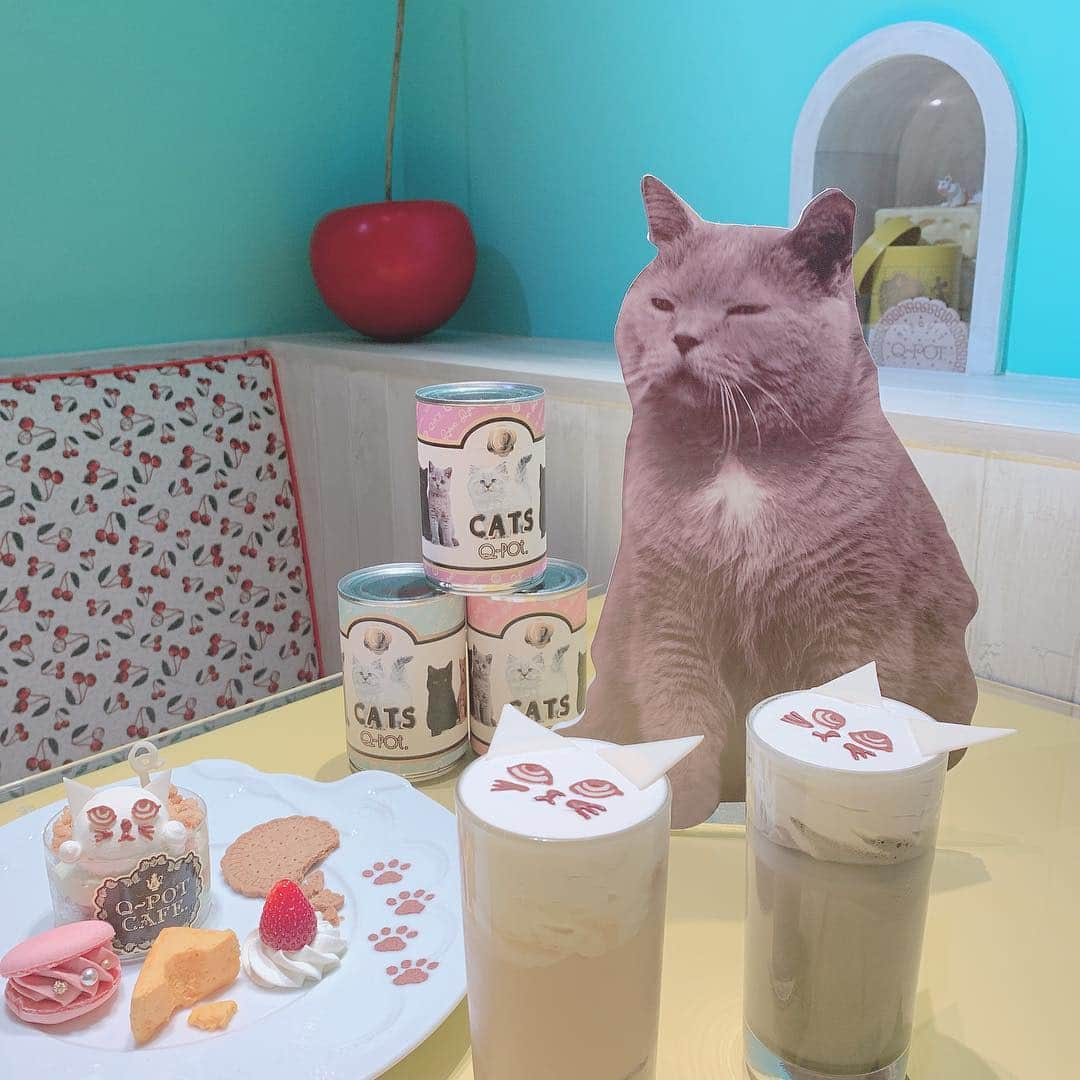 深澤翠さんのインスタグラム写真 - (深澤翠Instagram)「Q-pot.新作﻿ 「CAT」アクセサリー﻿ Q-pot CAFE. 新メニュー﻿ 「Q-pot"ネコ"CAFE.」﻿ ﻿ いちはやく観て参りました❣️﻿ ﻿ 可愛い猫アクセにそっくりな﻿ 美味しい猫スイーツや﻿ ﻿ 猫探しイベントもあって﻿ ﻿ 楽し過ぎました😹﻿ ﻿ #qpot ﻿ #qpotcafe ﻿ #猫モチーフ」4月26日 21時40分 - midorifukasawa