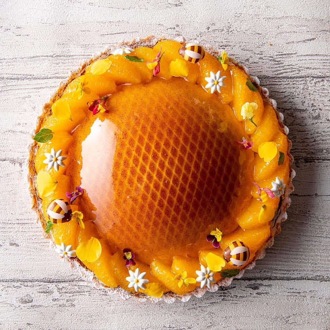 ヒルトン東京さんのインスタグラム写真 - (ヒルトン東京Instagram)「🌻「サンフラワーガールズ」と聞いてどんな女の子をイメージしますか？﻿ 👇下にコメントを入れてください！﻿ ﻿ 🌞柚子を効かせた🥭マンゴークリームのタルトで、サイドに、🍯ハニーグレイズしたオレンジを飾ります。まるで大輪のヒマワリの花🌻のようなケーキ🤩﻿ ﻿ A tart beautiful like the 🌻 sunflower. Stay tuned for more updates for our new desserts available from 4 June!﻿ ﻿ ﻿ #ヒルトン東京 #東京 #西新宿 ﻿ #hiltontokyo #tokyoeats #whatstrending﻿ #女子会 #パーティー #イエロー #はちみつ #チーズ #とろける ﻿ #おしゃれ #カフェ巡り #スイーツ #スイーツ男子 #スイーツ女子」4月26日 21時41分 - hiltontokyo