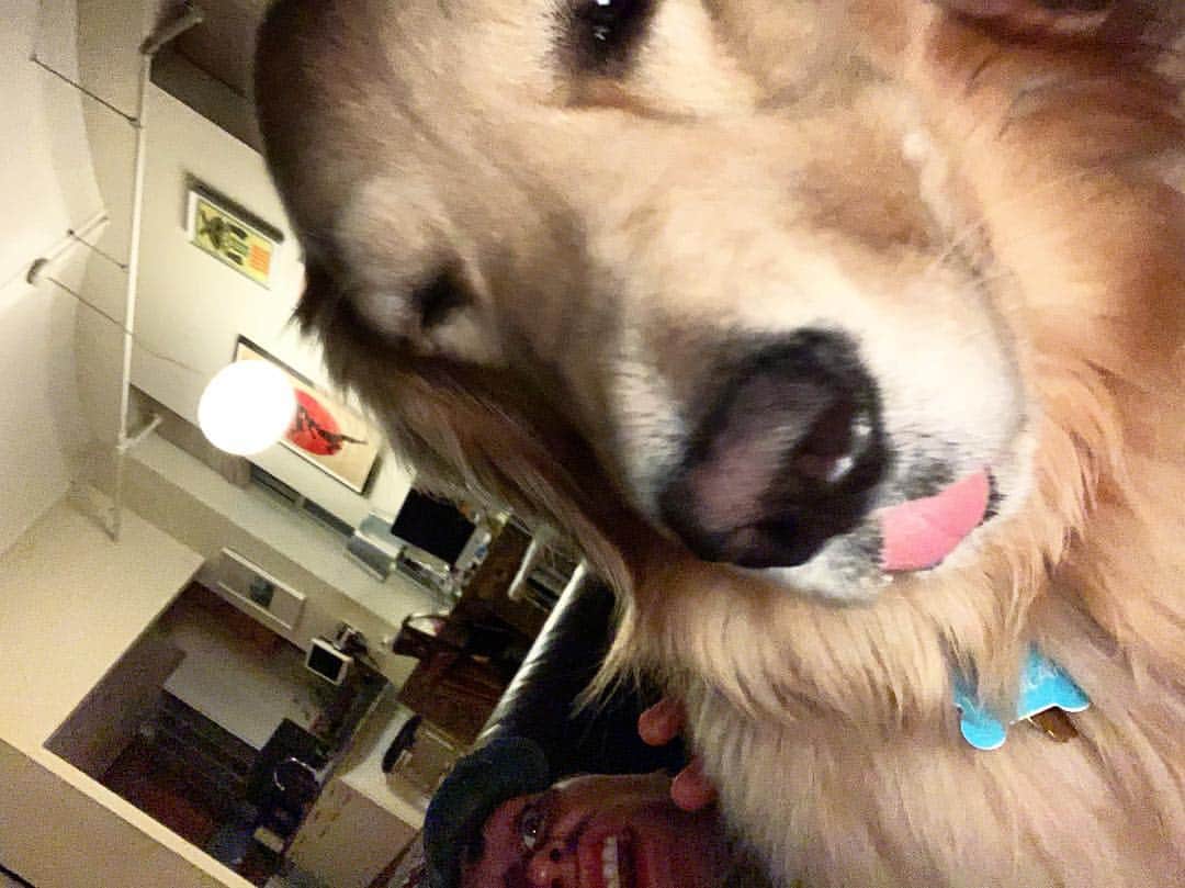 ショーン・オプリーさんのインスタグラム写真 - (ショーン・オプリーInstagram)「Selfie #NotALapDog」4月26日 22時20分 - seanopry55