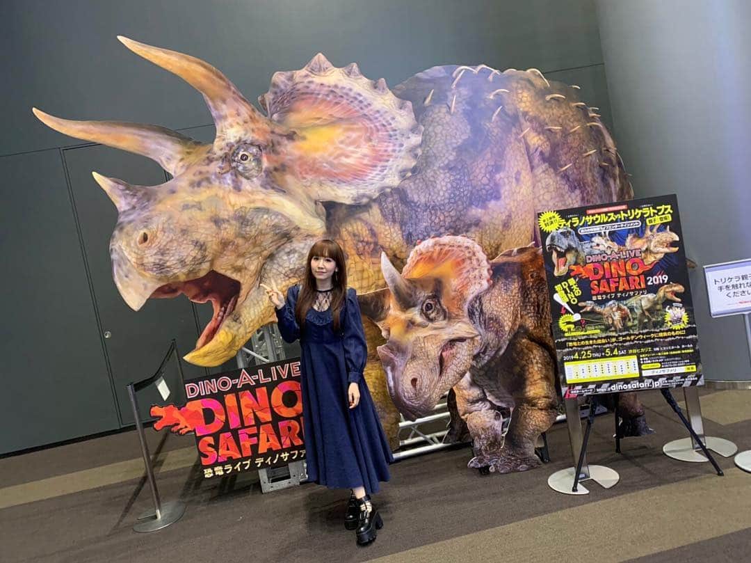 のインスタグラム：「お昼にとても素敵な顔合わせがあり それ終わりに昨日から #渋谷ヒカリエ で開催されている #体験型恐竜ライブショー #DINOSAFARI #ディノサファリ に行ってきました。 ナイトメアバージョンは恐竜が興奮状態とのことで迫力満点のショーでした。楽しかったー！ トリケラトプスの子供かわいすぎました💕 夏のワンマンライブは恐竜レストランでやるのでとてもいい刺激をもらいました(^^) ・ ・ #yucat #加藤有加利 #rythem #恐竜 #dinosaur #ティラノサウルス #トリケラトプス #アロサウルス」