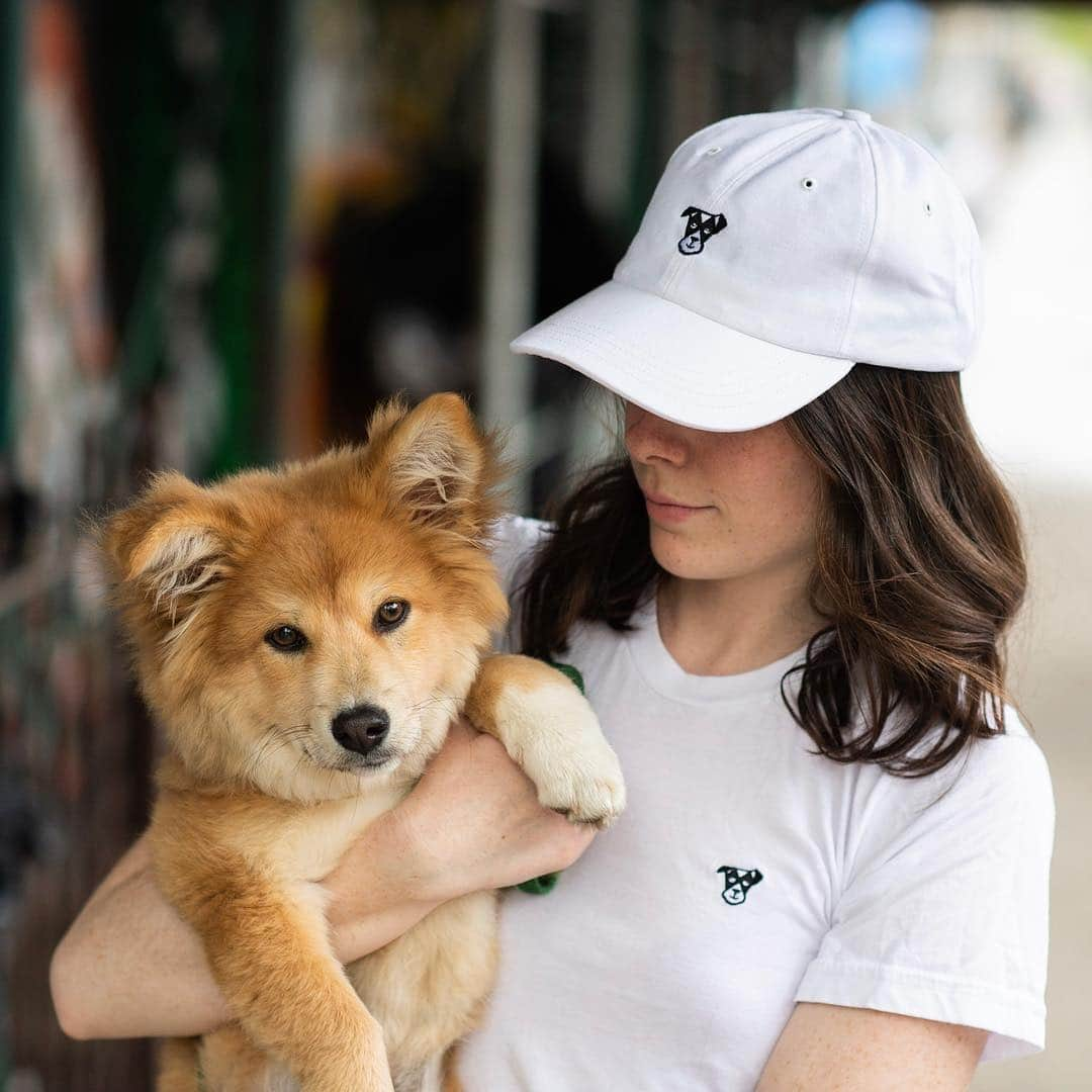 The Dogistさんのインスタグラム写真 - (The DogistInstagram)「The first ever Dogist hat is here! It’s hand-stitched in the USA, feels great, and your dog would probably love chewing it. We only have a few, so get these puppies today while you can! shop.thedogist.com (link in bio) (Also, we’ve added Canadian & UK shipping!)」4月26日 22時31分 - thedogist