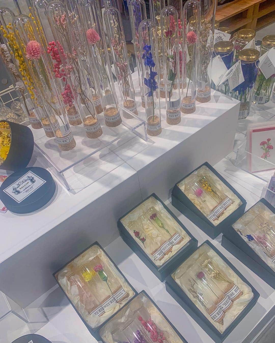 和希詩織さんのインスタグラム写真 - (和希詩織Instagram)「🍦🌵📸#new #ginza #loft . . 癒しの空間と#アイス やオシャレフードがいっぱい🤭❤️ . . #銀座ロフト が4月26日今日からグランドオープン🎉 . . ロフトとは思えない#観葉植物 に生い茂ったフロアたまらん👏 . . フロアごとにエコやメキシカン ストーリー性のある楽しい空間で新しい🤭❤️ . . ほかにもシャンプーなどのフロアのオシャレさと見やすさ💯  #スマテ のダルマコーナーもすごい映えるしラッピングとかももはや#問屋街レベル👏👏👏 . . #フジカラー のフォトスポットが#エモい プリクラみたいな写真機種にもエモさ満載❤️ . . . . #ロフト#グランドオープン#ロフトレ女子部#ラッピング#植物のある暮らし #アイス部 #アイスタグラム #サボテン #メキシカン#スニーカー#kiks」4月26日 22時32分 - kazukishiori