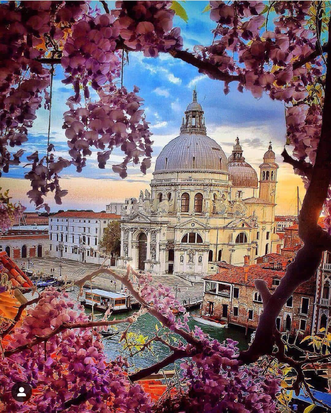 Wonderful Placesさんのインスタグラム写真 - (Wonderful PlacesInstagram)「Venice in spring ✨🌸🌸🌸✨ . Picture by ✨✨@jan9.0✨✨ #wonderful_places for a feature 💖」4月26日 23時11分 - wonderful_places
