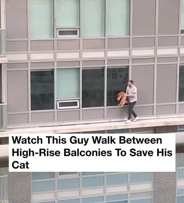 VICEさんのインスタグラム写真 - (VICEInstagram)「A man went to extreme measures to save his cat when it walked across a thin ledge to a neighbor's balcony. 😱 🙀 Watch the intense clip at the link in bio, via @vicecanada. 📸 via screenshot」4月27日 0時01分 - vice