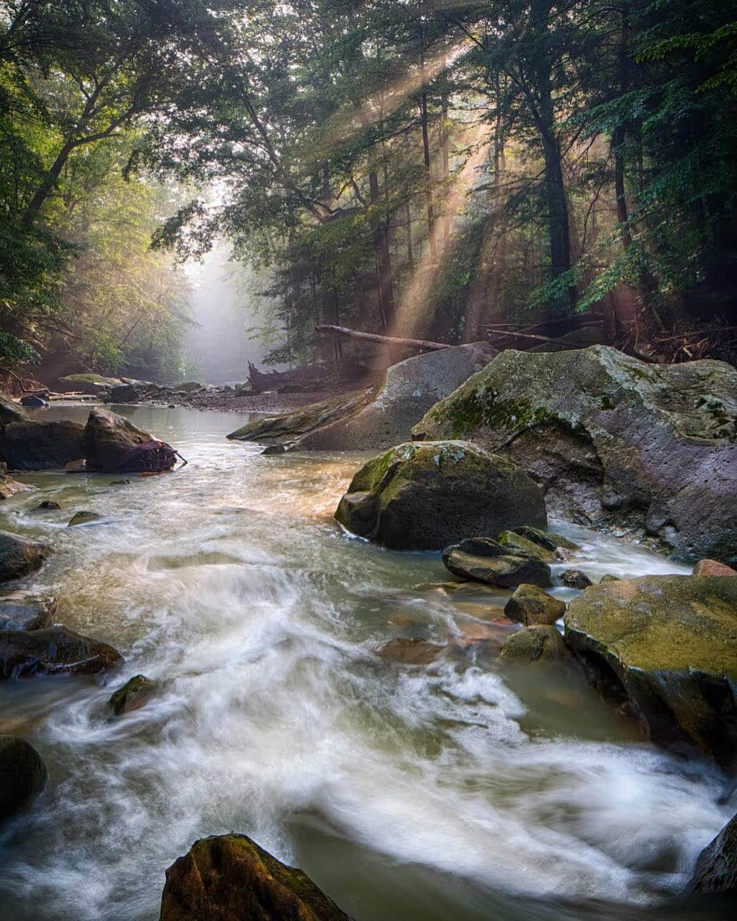 アメリカ内務省さんのインスタグラム写真 - (アメリカ内務省Instagram)「National parks are more than massive western landscapes. #CuyahogaValley National Park in #Ohio is a calming escape from the nearby urban centers of Cleveland and Akron. When you walk through the woods past waterfalls and wildlife to find your perfect spot along a babbling stream, you’ll know why #nationalparks are national treasures. Every park has a secret to share. It’s up to you to get out there discover them. Photo @CuyahogaValleyNPS by Jerry Jelinek (www.sharetheexperience.org). #NationalParkWeek #travel #FindYourPark #usinterior」4月27日 0時22分 - usinterior