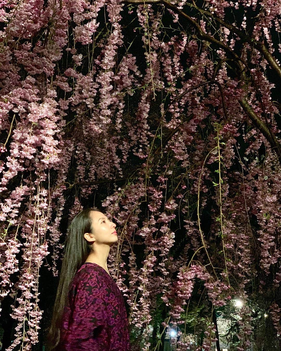 芥川舞子さんのインスタグラム写真 - (芥川舞子Instagram)「今日の青森は雪が散らつくほど寒いです❄️ そして、今の時期こちらは桜が満開🌸  日本さくら名所100選のひとつにある弘前城公園に行って、夜桜を見ました。  桜と雪を同時にみる不思議を体験できて、嬉しかったです。  明日のワークショップ、楽しみです！  photo by @yohsuke_akutagawa  #青森 #弘前 #弘前城公園 #さくら #夜桜 #日本さくら名所100選」4月27日 0時18分 - maiko.akutagawa