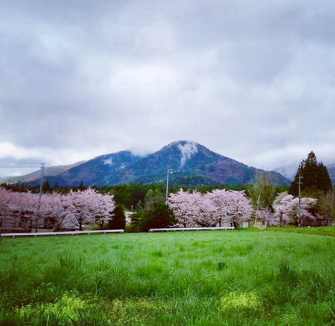 牛窪万里子さんのインスタグラム写真 - (牛窪万里子Instagram)「安曇野ではまだ桜が咲いていて満開でした！  この美しい景色に出会えて感激♡  山を背景に桜のピンク色と畑のグリーンのコントラストが美しい。  今年は2度桜の満開を見ることが出来ました。  #安曇野 #長野県 #桜 #満開  #美しい風景  #instajapan」4月27日 0時19分 - mariko_ushikubo