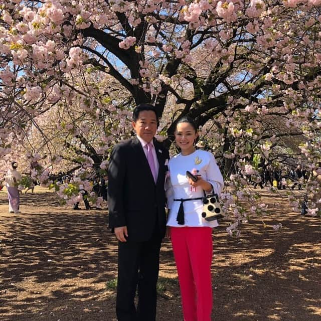 浅見帆帆子のインスタグラム