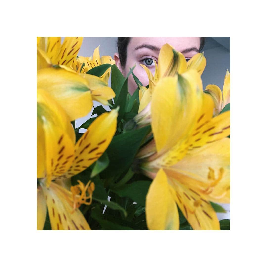 モニカ・ヤガチャクのインスタグラム：「Flowers from my mom. So far they are alive for around 4/5 times longer than any flowers I ever got 🌻🤗」