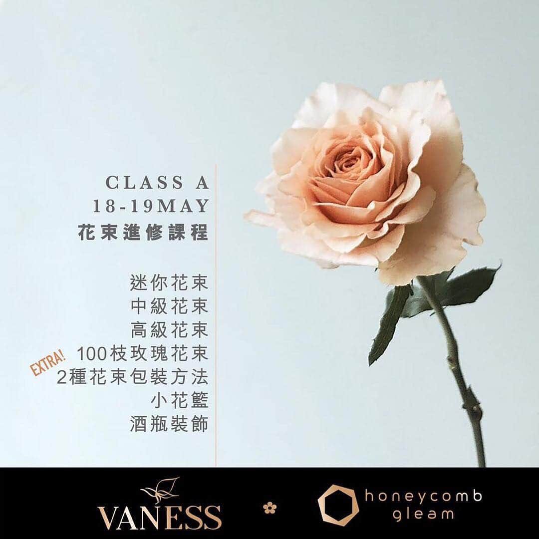 플로리스트 이주연 florist Lee Ju Yeonさんのインスタグラム写真 - (플로리스트 이주연 florist Lee Ju YeonInstagram)「. . 【VANESS FLOWER x honeycomb gleam】﻿﻿ ﻿﻿﻿﻿﻿﻿﻿﻿﻿﻿﻿﻿﻿﻿﻿﻿﻿﻿﻿﻿﻿﻿﻿由《微光蜂舍》帶團，從香港飛到首爾上課✈️ ﻿ ﻿﻿ 今次會分2個工作坊，分別以「花束」和「場地佈置」為主重點。每個工作坊2天，可以只報讀其中1個，但同時報讀2個的話有額外優惠喔~﻿﻿ ﻿﻿ 工作坊將於充滿歐陸風的浪漫白色小屋新店舉行😍﻿ ﻿ ✨ CLASS A • 花束進修課程﻿ ﻿﻿ 日期：5月18-19日 (六、日)﻿﻿ 內容：迷你花束、中級花束、高級花束、100枝玫瑰花束、另加2種花束包裝方法、小花籃、酒瓶裝飾﻿﻿ 名額：10個﻿﻿ 廣東話翻譯﻿﻿ ﻿﻿ ✨ CLASS B • 婚禮佈置課程﻿ ﻿﻿ 日期：5月20-21日 (一、二)﻿﻿ 內容：開放式拱門、懸掛式佈置、車花、枱花、櫈花、高身燭台﻿﻿ 名額：10個﻿﻿ 廣東話翻譯﻿﻿ ﻿﻿ ✨ 加送 (optional行程) • 首爾花市tour﻿﻿ 由翻譯小姐作導遊﻿﻿ 日期：5月22日 (三) 早上﻿﻿ ﻿﻿ 完成工作坊後可獲VANESS FLOWER證書。﻿﻿ ﻿﻿ 機票、住宿請自行安排喔~ ﻿﻿ ﻿﻿ 詳情請向 @honeycombgleam 查詢，或whatsapp +852 6228 4197 。﻿ ﻿ 👉🏻 #VANESSxHONEYCOMBGLEAM﻿」4月27日 1時35分 - vanessflower