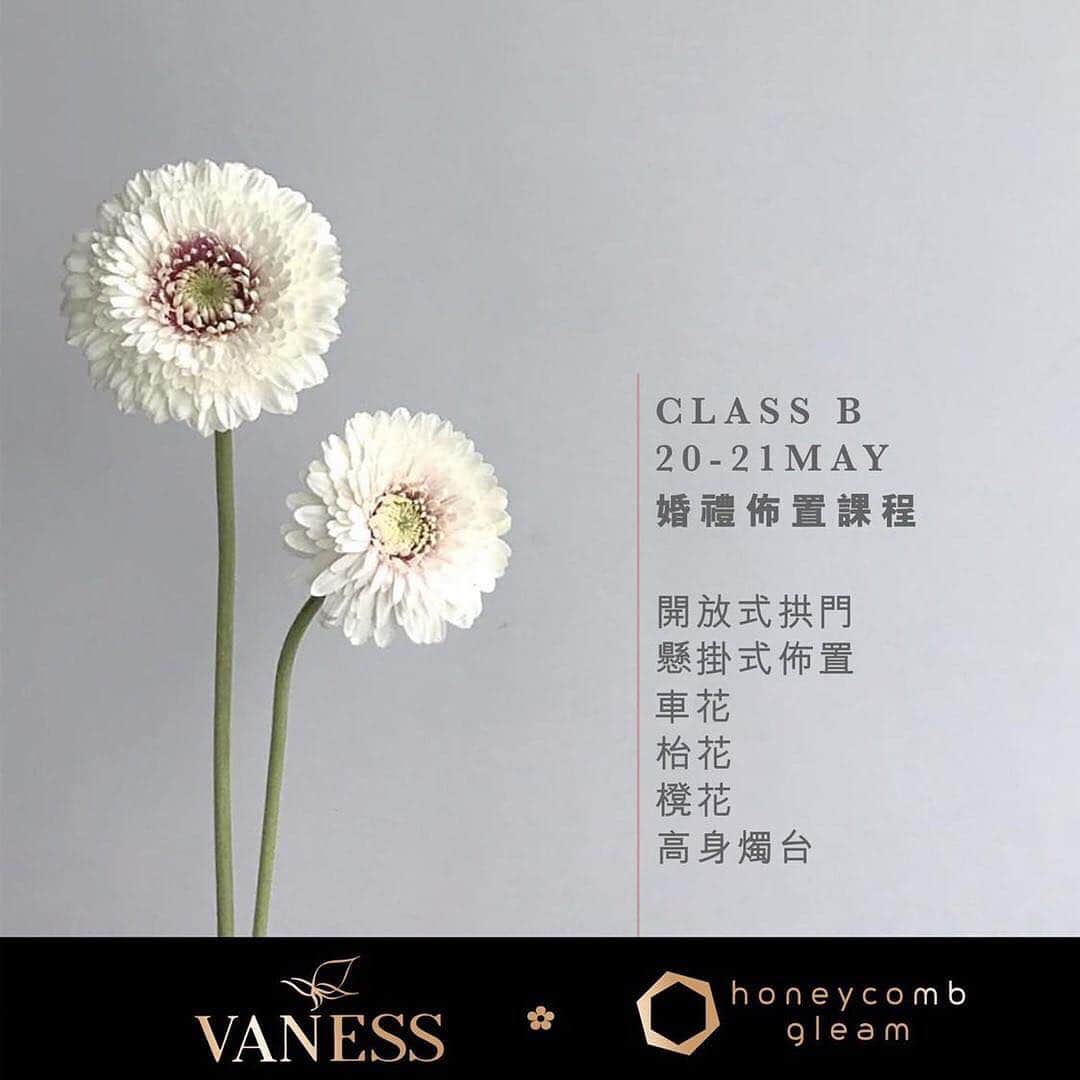 플로리스트 이주연 florist Lee Ju Yeonさんのインスタグラム写真 - (플로리스트 이주연 florist Lee Ju YeonInstagram)「. . 【VANESS FLOWER x honeycomb gleam】﻿﻿ ﻿﻿﻿﻿﻿﻿﻿﻿﻿﻿﻿﻿﻿﻿﻿﻿﻿﻿﻿﻿﻿﻿﻿由《微光蜂舍》帶團，從香港飛到首爾上課✈️ ﻿ ﻿﻿ 今次會分2個工作坊，分別以「花束」和「場地佈置」為主重點。每個工作坊2天，可以只報讀其中1個，但同時報讀2個的話有額外優惠喔~﻿﻿ ﻿﻿ 工作坊將於充滿歐陸風的浪漫白色小屋新店舉行😍﻿ ﻿ ✨ CLASS A • 花束進修課程﻿ ﻿﻿ 日期：5月18-19日 (六、日)﻿﻿ 內容：迷你花束、中級花束、高級花束、100枝玫瑰花束、另加2種花束包裝方法、小花籃、酒瓶裝飾﻿﻿ 名額：10個﻿﻿ 廣東話翻譯﻿﻿ ﻿﻿ ✨ CLASS B • 婚禮佈置課程﻿ ﻿﻿ 日期：5月20-21日 (一、二)﻿﻿ 內容：開放式拱門、懸掛式佈置、車花、枱花、櫈花、高身燭台﻿﻿ 名額：10個﻿﻿ 廣東話翻譯﻿﻿ ﻿﻿ ✨ 加送 (optional行程) • 首爾花市tour﻿﻿ 由翻譯小姐作導遊﻿﻿ 日期：5月22日 (三) 早上﻿﻿ ﻿﻿ 完成工作坊後可獲VANESS FLOWER證書。﻿﻿ ﻿﻿ 機票、住宿請自行安排喔~ ﻿﻿ ﻿﻿ 詳情請向 @honeycombgleam 查詢，或whatsapp +852 6228 4197 。﻿ ﻿ 👉🏻 #VANESSxHONEYCOMBGLEAM﻿」4月27日 1時35分 - vanessflower