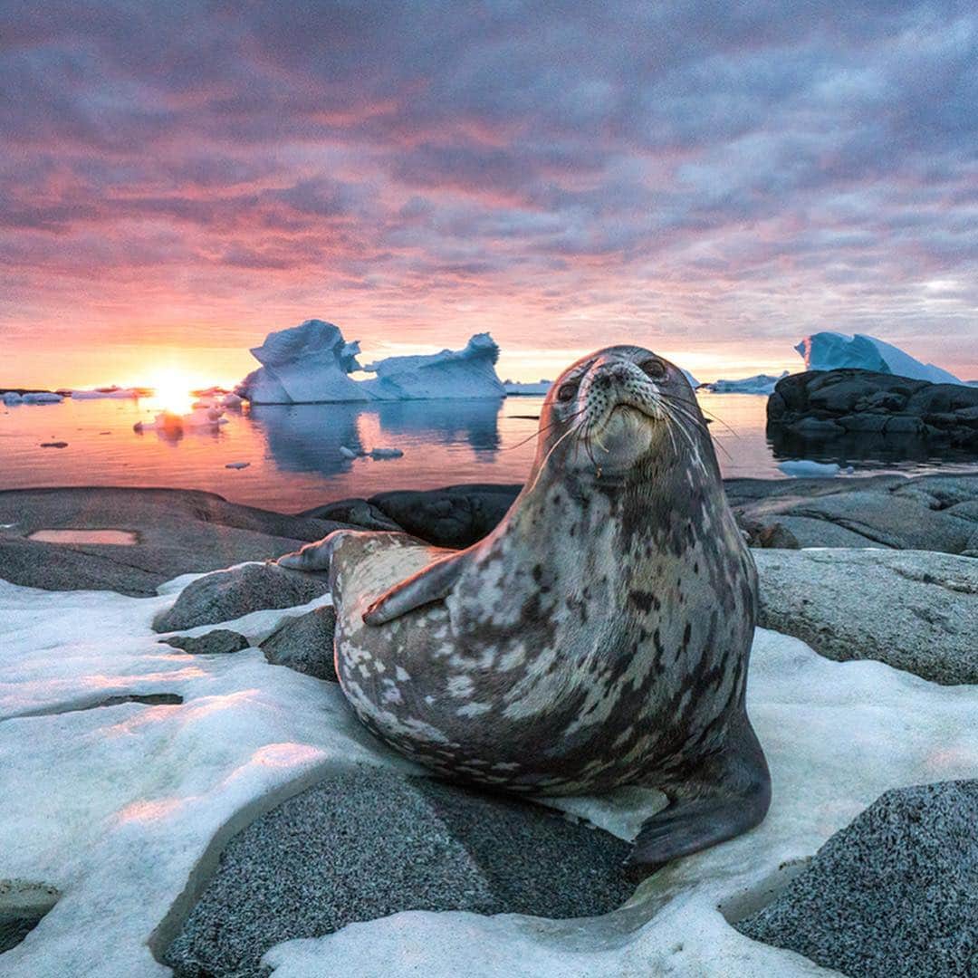 National Geographic Creativeのインスタグラム