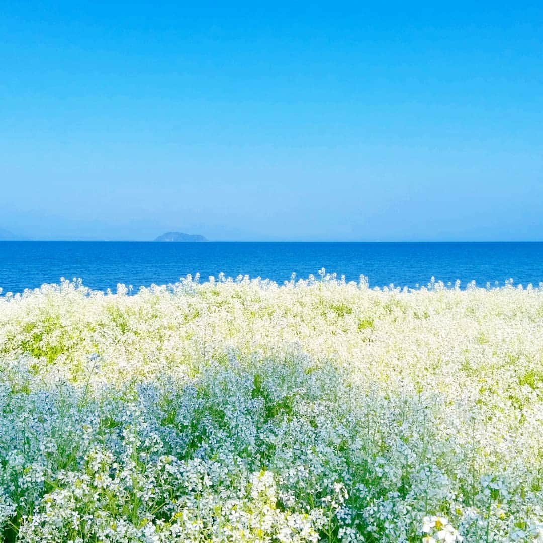琵琶湖グランドホテル / 京近江のインスタグラム