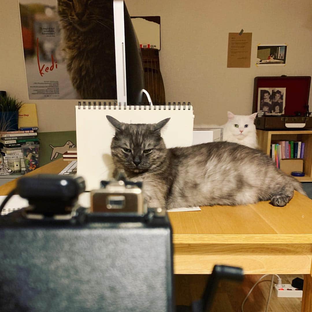 ソン・スヒョンさんのインスタグラム写真 - (ソン・スヒョンInstagram)「잠깐 비켜봐바... #앙꼬」4月27日 2時56分 - sohnsuhyun