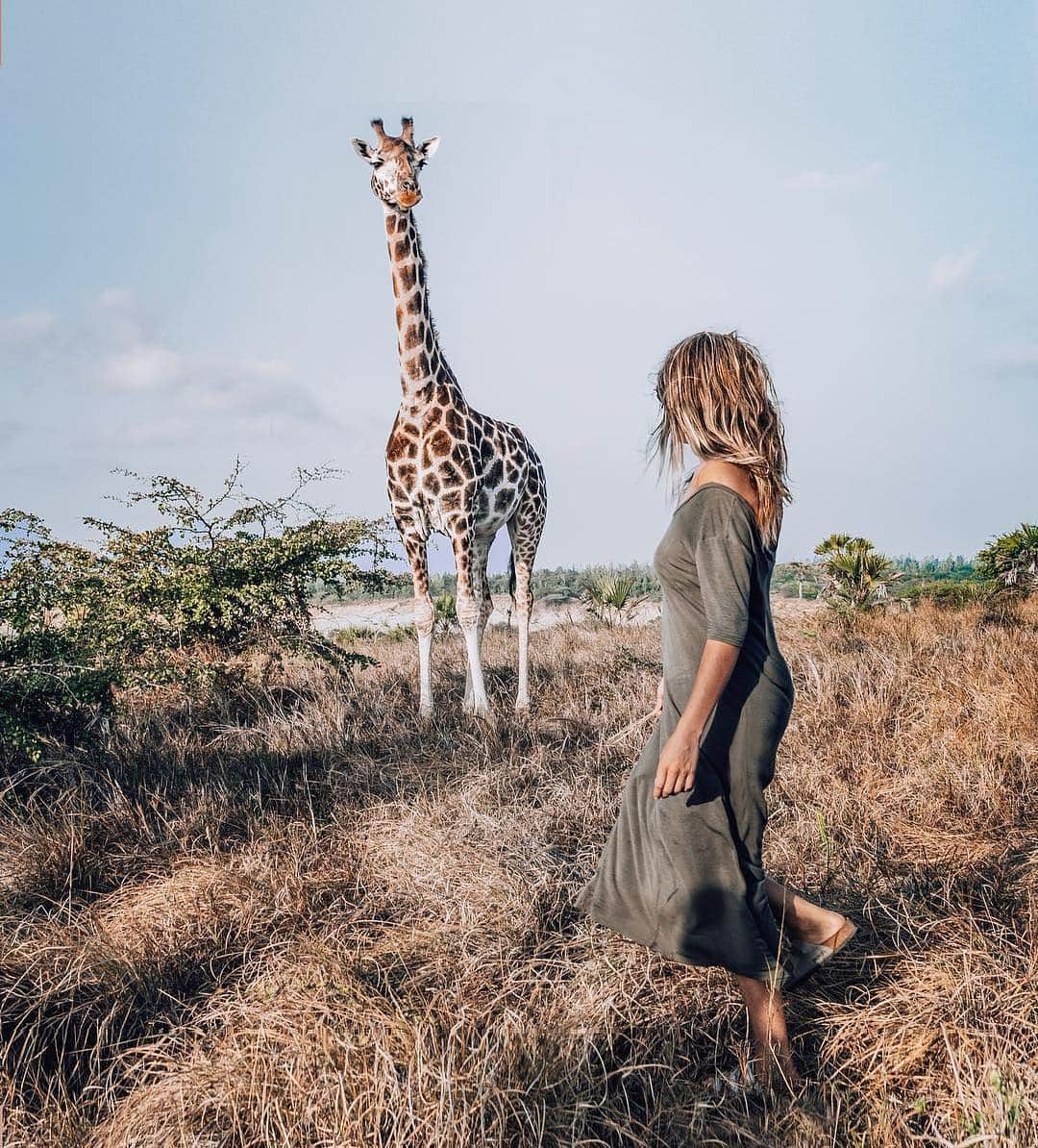 のインスタグラム：「@latin.spirit _________________________________  Hakuna Matata Africa.  When I was young I always watched animal documentaries in TV.  Especially the ones from Africa were my favourite ones.  Seeing gracious giraffes, hungry lions and sneaking leopards on the screen made it to my dream to see them with my own eyes in the wild.  After a year in Asia it was finally time to fulfil this dream and check off this huge point off my bucket list.」