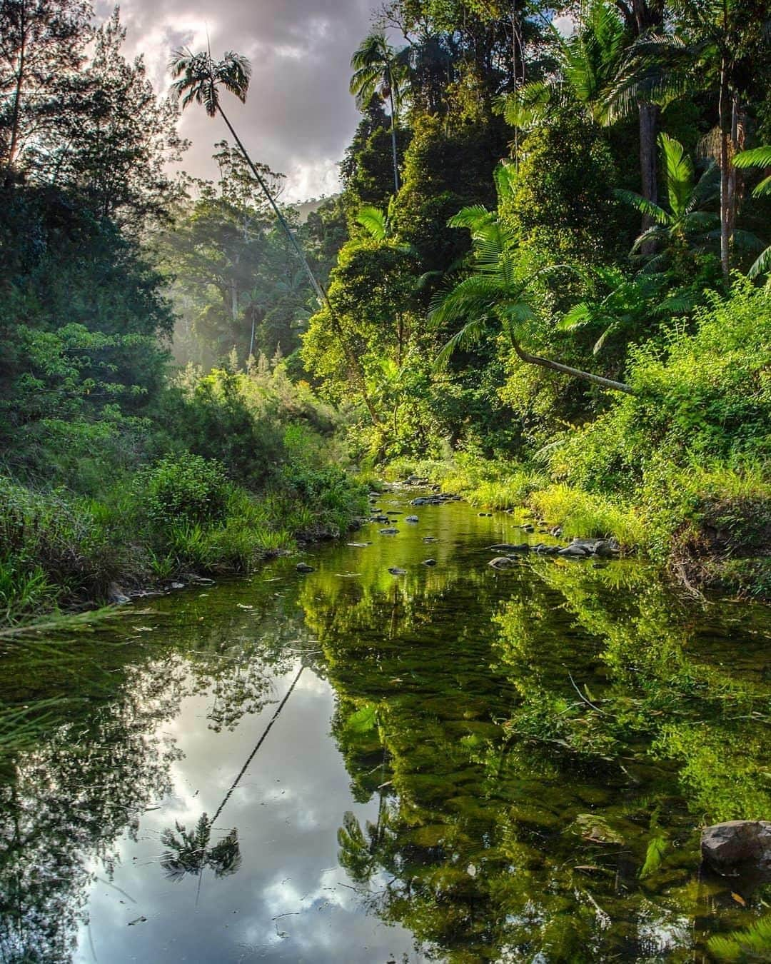 Australiaさんのインスタグラム写真 - (AustraliaInstagram)「BRB, going on a rainforest getaway in @sunshinecoasthinterland. 🌴🍃 @travel_moments_  visited the lush #BooloumbaCreek on @queensland’s @visitsunshinecoast recently, and loved that “you can camp directly at the creek and there are heaps of amazing swimming spots.” Located in #ConondaleNationalPark, you can reach this spot via the Booloumba Falls walk, which is a three-kilometre track that leads you past lush #rainforest, waterfalls and scenic lookouts. TIP: There are three stunning camping areas in the park, if you have time, why not try and camp at a different area each night so you can wake up to a new view every day. 😉  #seeaustralia #thisisqueensland #visitsunshinecoast #sunshinecoasthinterland #travel」4月27日 4時00分 - australia