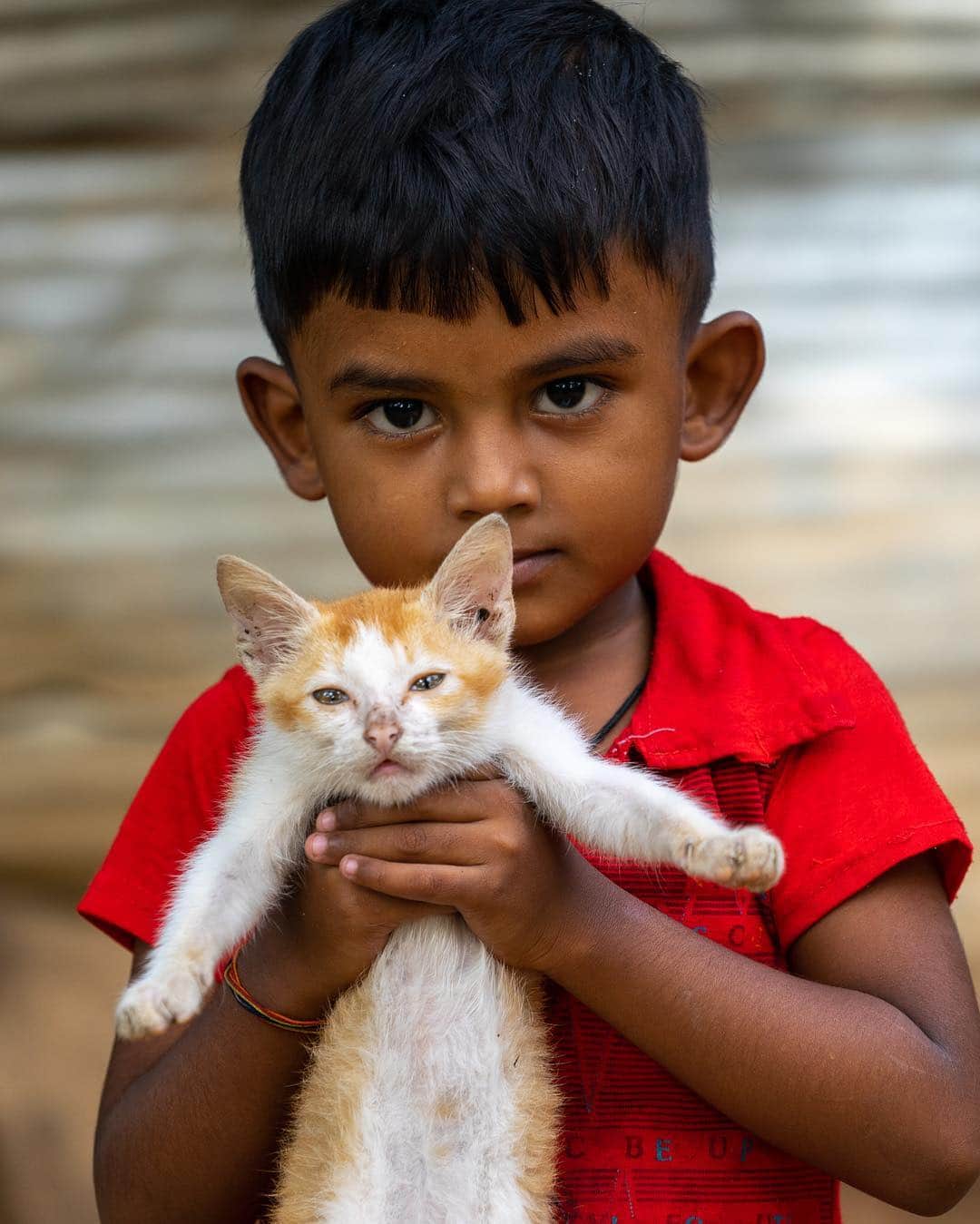 Michael Yamashitaさんのインスタグラム写真 - (Michael YamashitaInstagram)「Kid with a kitten - With Sri Lanka on my mind this past week, I was looking through my archive and came across this photo of a boy proudly introducing me to his pet bringing fond memories of my last trip back in 2015. My thoughts and prayers go out to my Sri Lankan friends for peace and understanding in remembrance of happier times.  #SriLanka #kitten #pet #boyandhiscat」4月27日 4時02分 - yamashitaphoto
