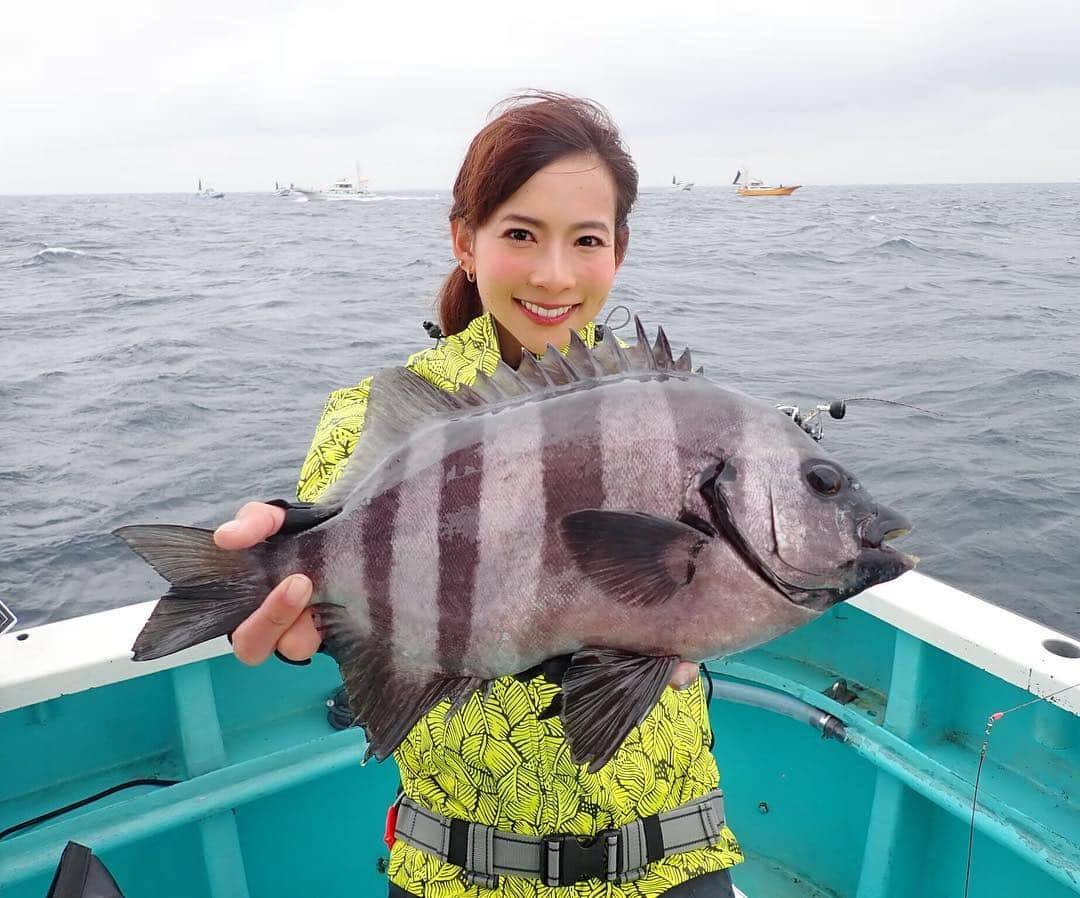 阪本智子さんのインスタグラム写真 - (阪本智子Instagram)「🐟♡ 31歳 初フィッシュは、 良型イシダイでした😂✨✨ 数日寝かして食べよっと☺️💕 ＊ #fish #fishing #fishinggirl #ishidai #魚 #釣り #イシダイ #レッツリー #阪本智子」4月27日 4時52分 - tomoko_sakamoto423