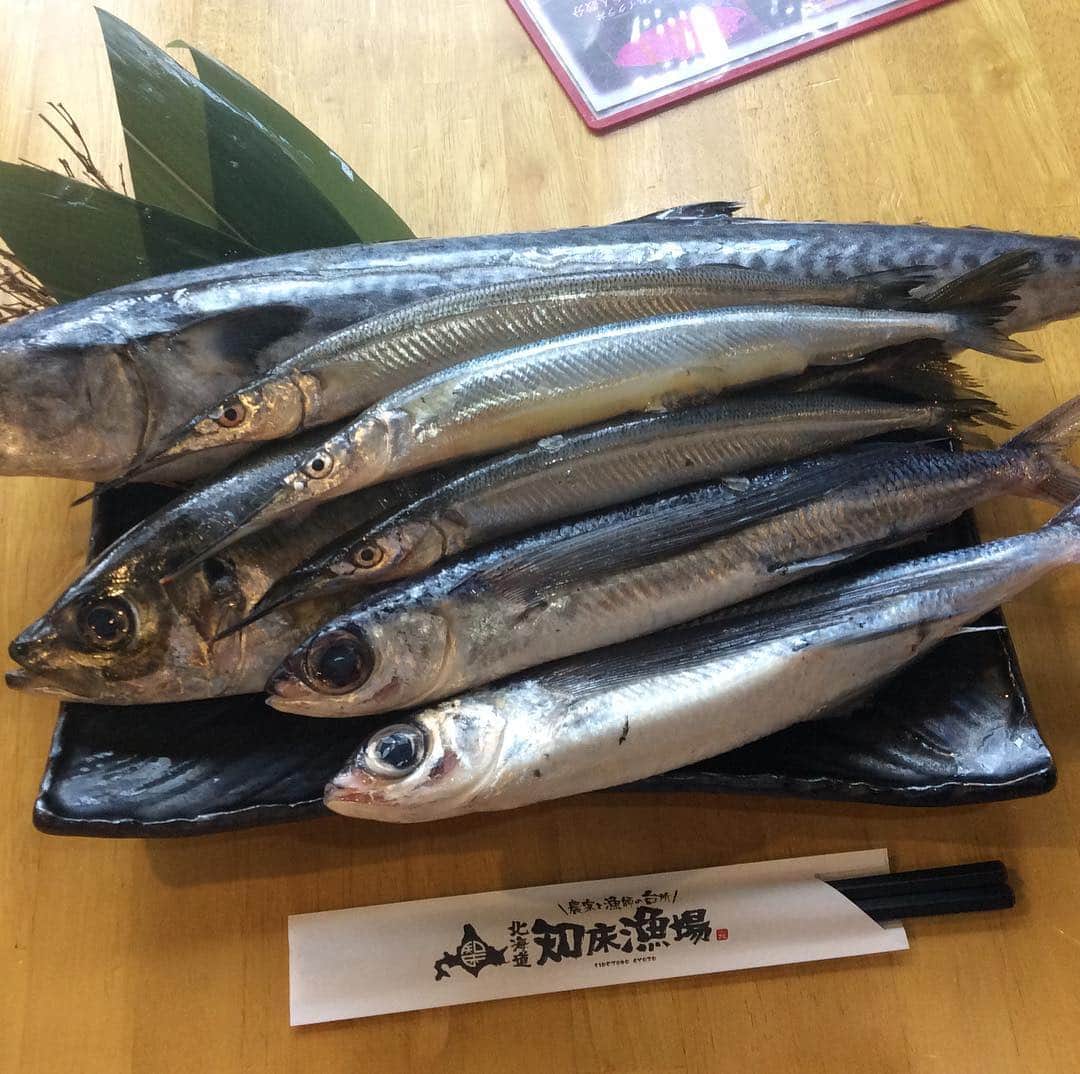知床漁場 難波道頓堀店のグルメインスタ
