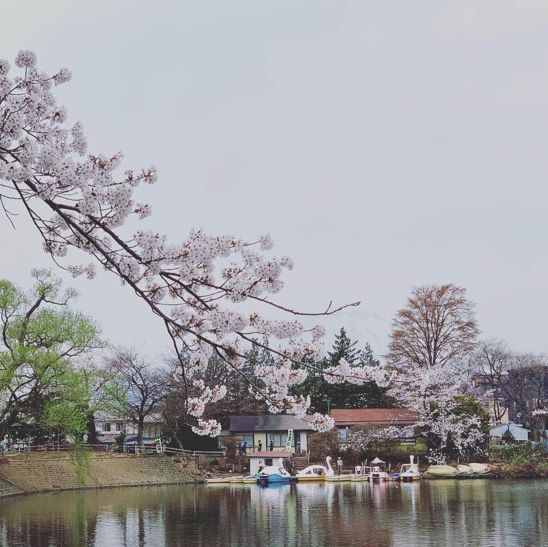 大隅智子さんのインスタグラム写真 - (大隅智子Instagram)「「花よりだんご」^_^23日、新人キャスターのあゆちゃんと高松の池で一休だんごを食べました。」4月27日 15時36分 - tomokotenki