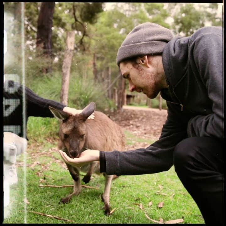 ホージアのインスタグラム