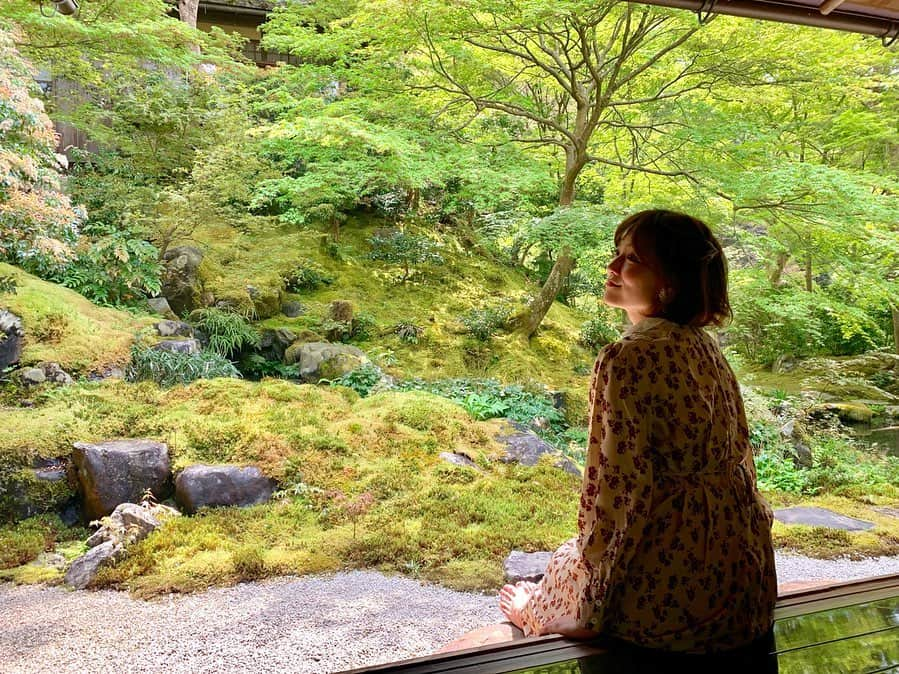 石井里奈さんのインスタグラム写真 - (石井里奈Instagram)「おはよん❣️ 今日からGWですね！ 今朝は、そうだ京都行こう🌸 . を意識した写真🥺✨笑 瑠璃光院に行ってきました😆💕 . ずっと写真を見てて行きたかった場所🌿✨ もう本当に自然が綺麗でうっとり✨✨癒されました😭✨💕 . ぽーと自然を見ながら座ってるだけでなんだか落ち着く場所。 . 拝観料2000円とちょっとお高めですが、その価値は十分にある🥺 . 次は秋の紅葉の時にまた行きたいなぁ〜💕✨ . 拝観すると写経体験もできて、とっても心落ち着く素敵な時間を過ごすことができました💕✨ . あとね、瑠璃光院の最寄駅の八瀬比叡山口駅がまたとっても可愛かったよ🥰レトロな感じが素敵✨💕 . #そうだ京都行こう #瑠璃光院 #京都 #kyoto #京都旅行 #京都観光 #japan #discoveryjapan #日本 #nature #自然 #green #縁側 #女子旅 #写経 #京都巡り #癒し #パワースポット#電車 #鉄道 #八瀬比叡山口駅 #鉄道のある風景 #電車旅 #緑 #庭 #garden #gardening」4月27日 7時48分 - ri7tin1025