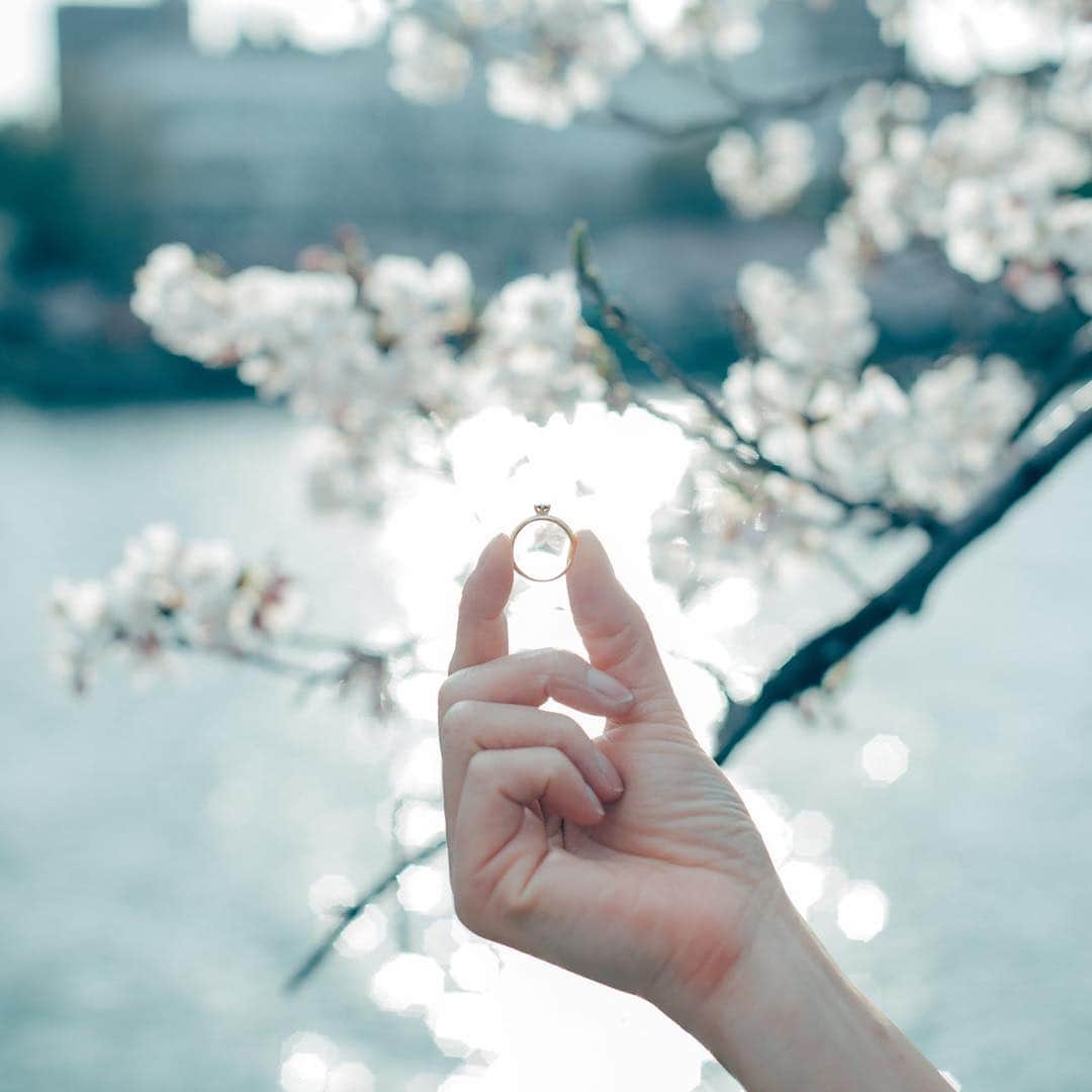 haraoのインスタグラム：「おはようございます☺︎ 今日からGWですね。 僕はもう一日、お仕事頑張ってきまーす。 . 💍 . 詳細は→@marcmirren 15%off coupon【harao15】 . #marcmirren #ring . . #sonya7riii #sonyalpha7」
